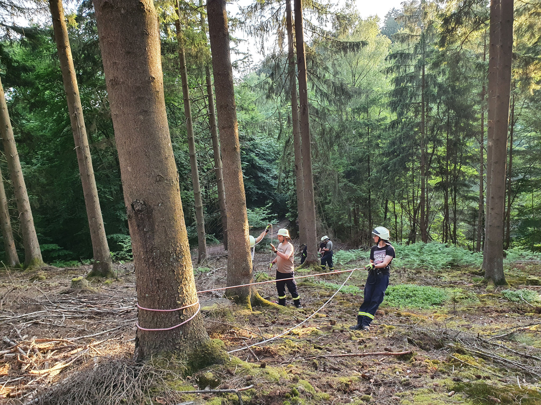 Übung Absicherung im Wald