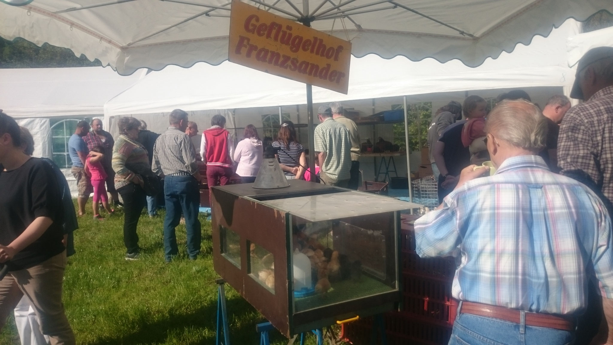 Kleintiermarkt wallhaeuserkleintierundbauernmarktmarkt Webseite!