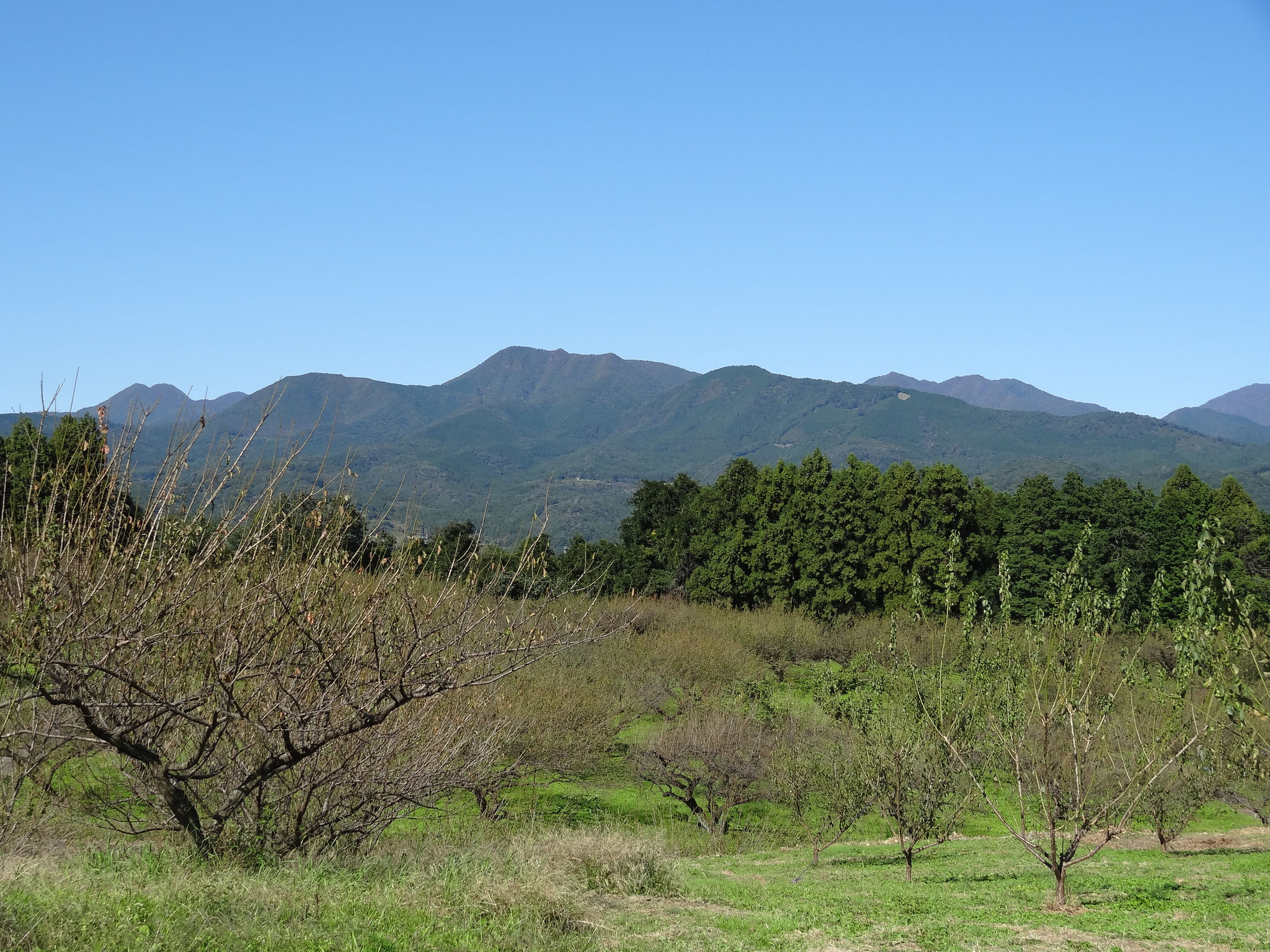 榛名山のふもとののどかで美しい梅園でした。