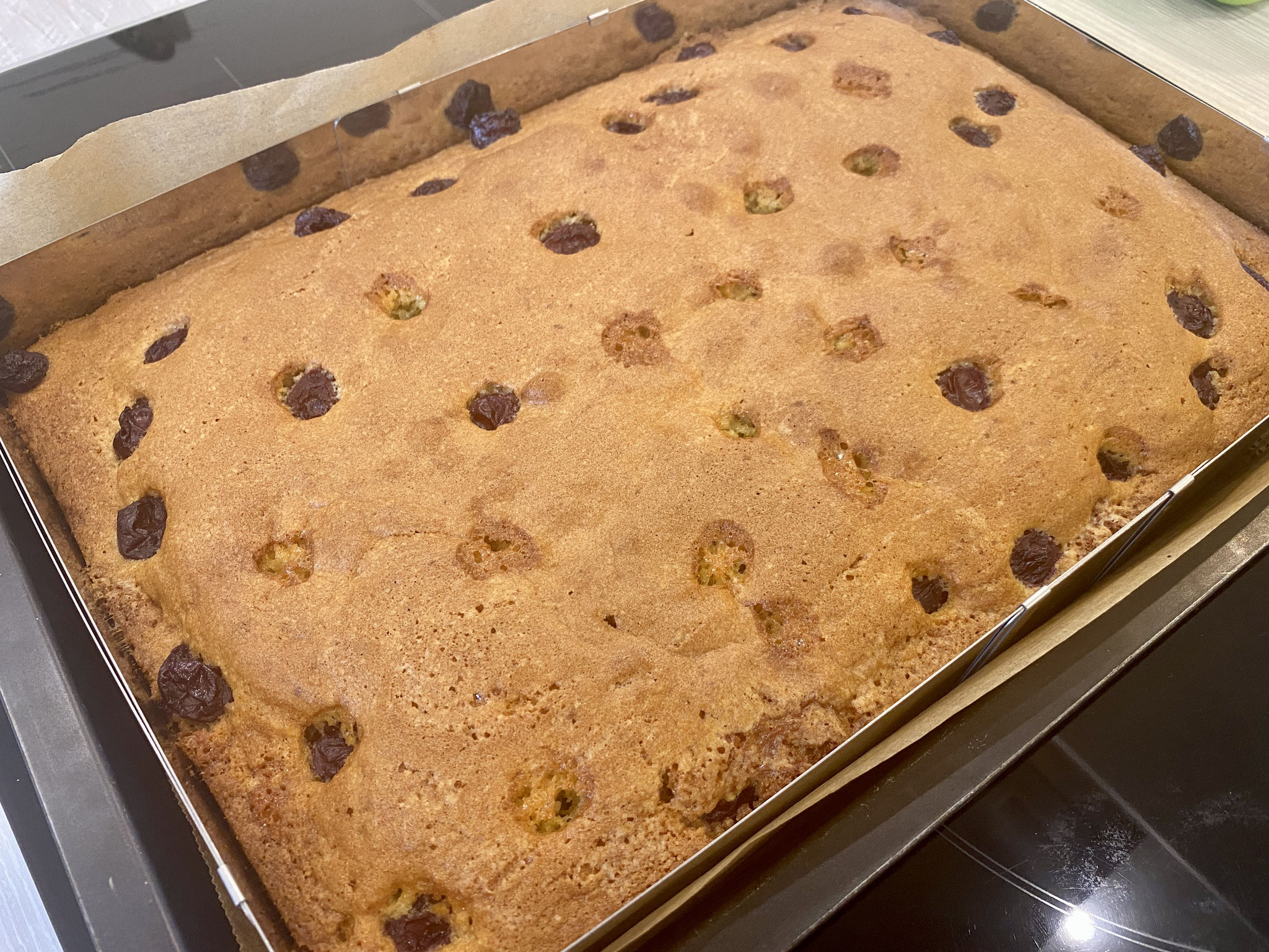 Saftiger Kirsch-Zitronenkuchen vom Blech - TheEssigs