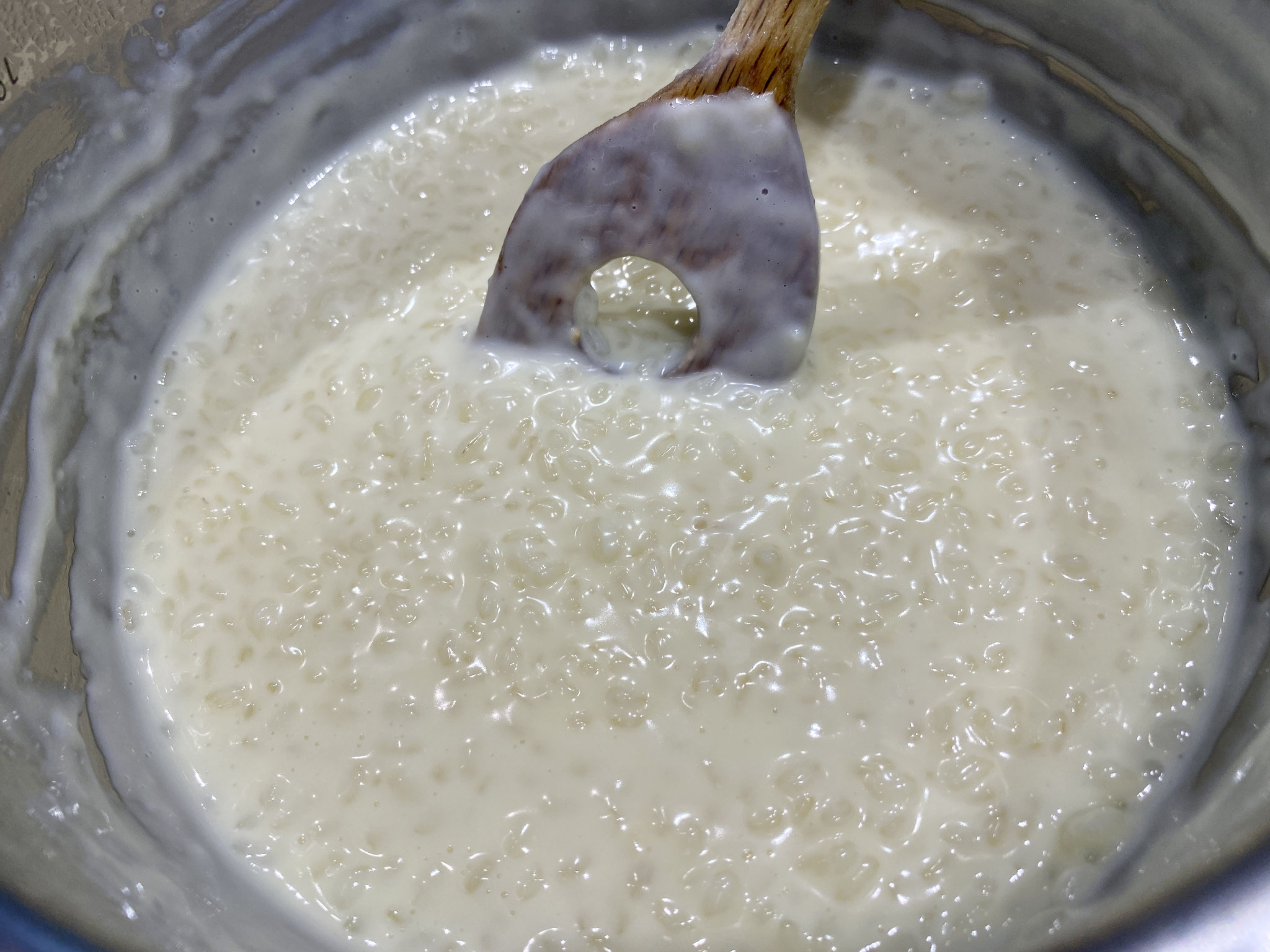Milchreis-Eis - TheEssigs