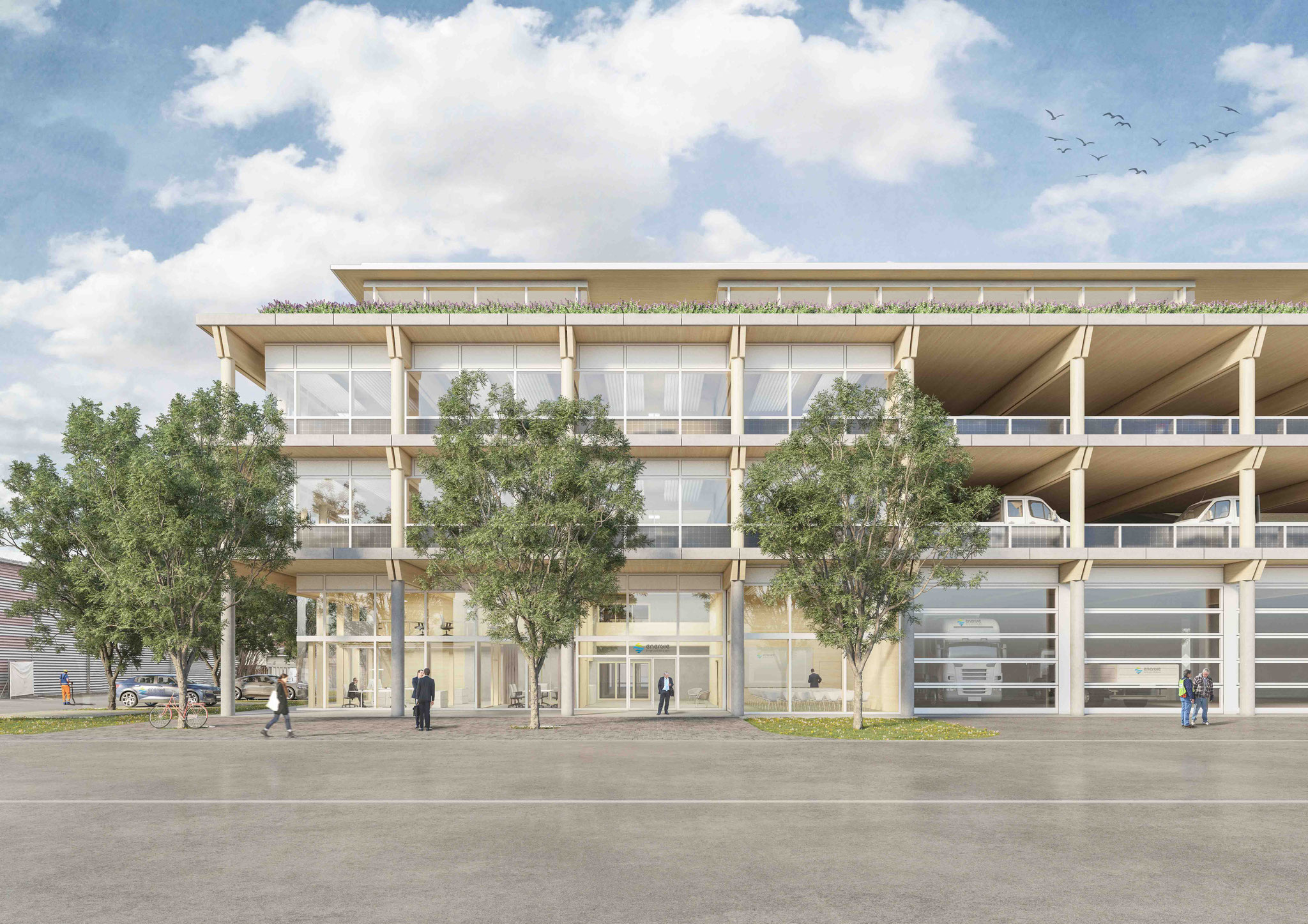 Architekt Weinfelden
