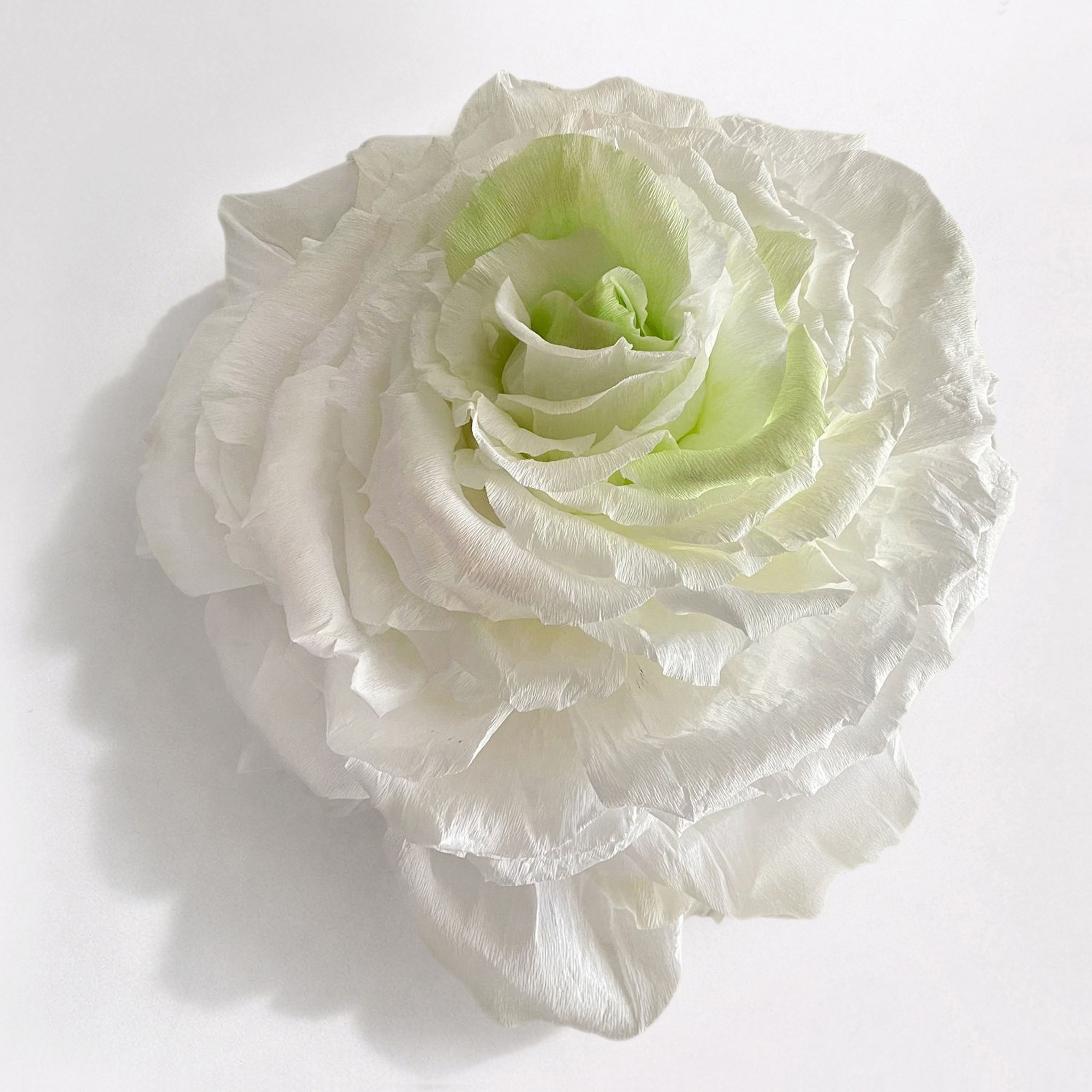 MOMO PURE Blumenskulpturen von Giovanna Molinari-Casile