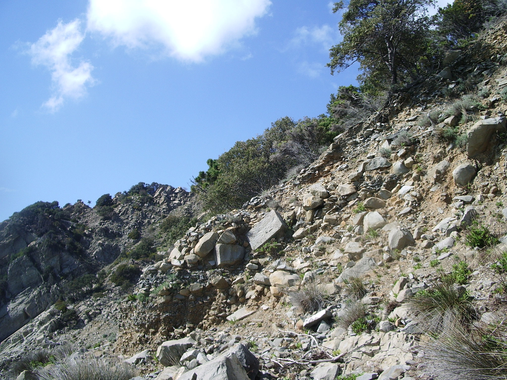 Punta Mesco: tracce delle attività di cavatura dell'arenaria (blocchi squadrati)
