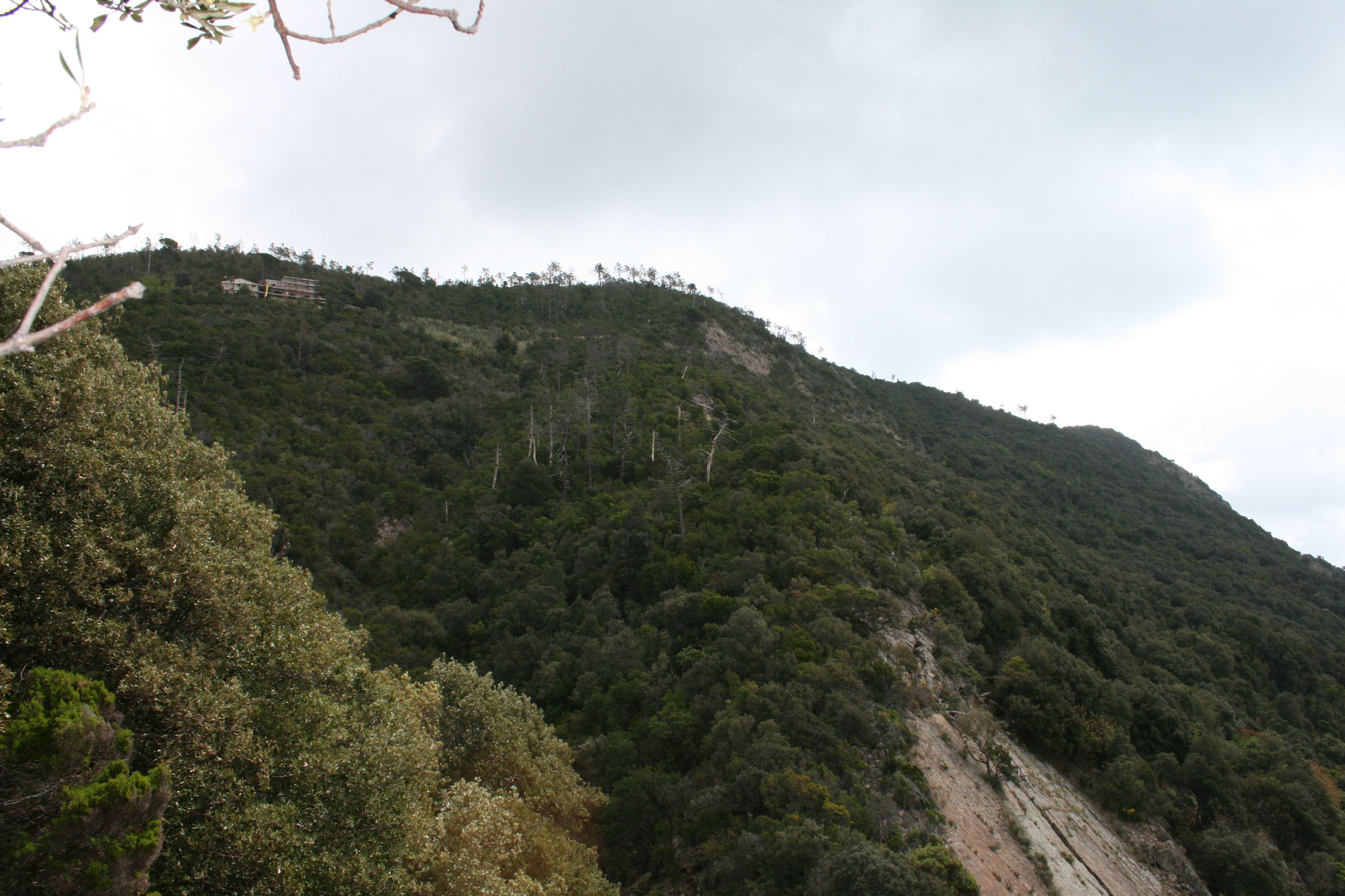 Punta Mesco - Case Lovara
