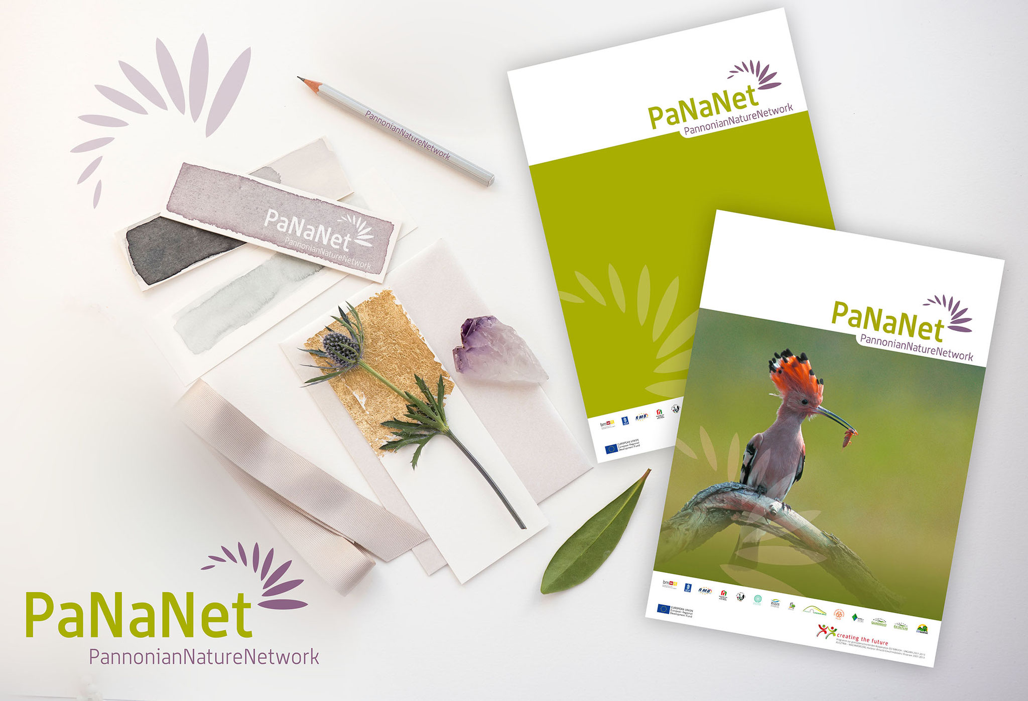 PaNaNet | Logo, CI, Werbekampagne