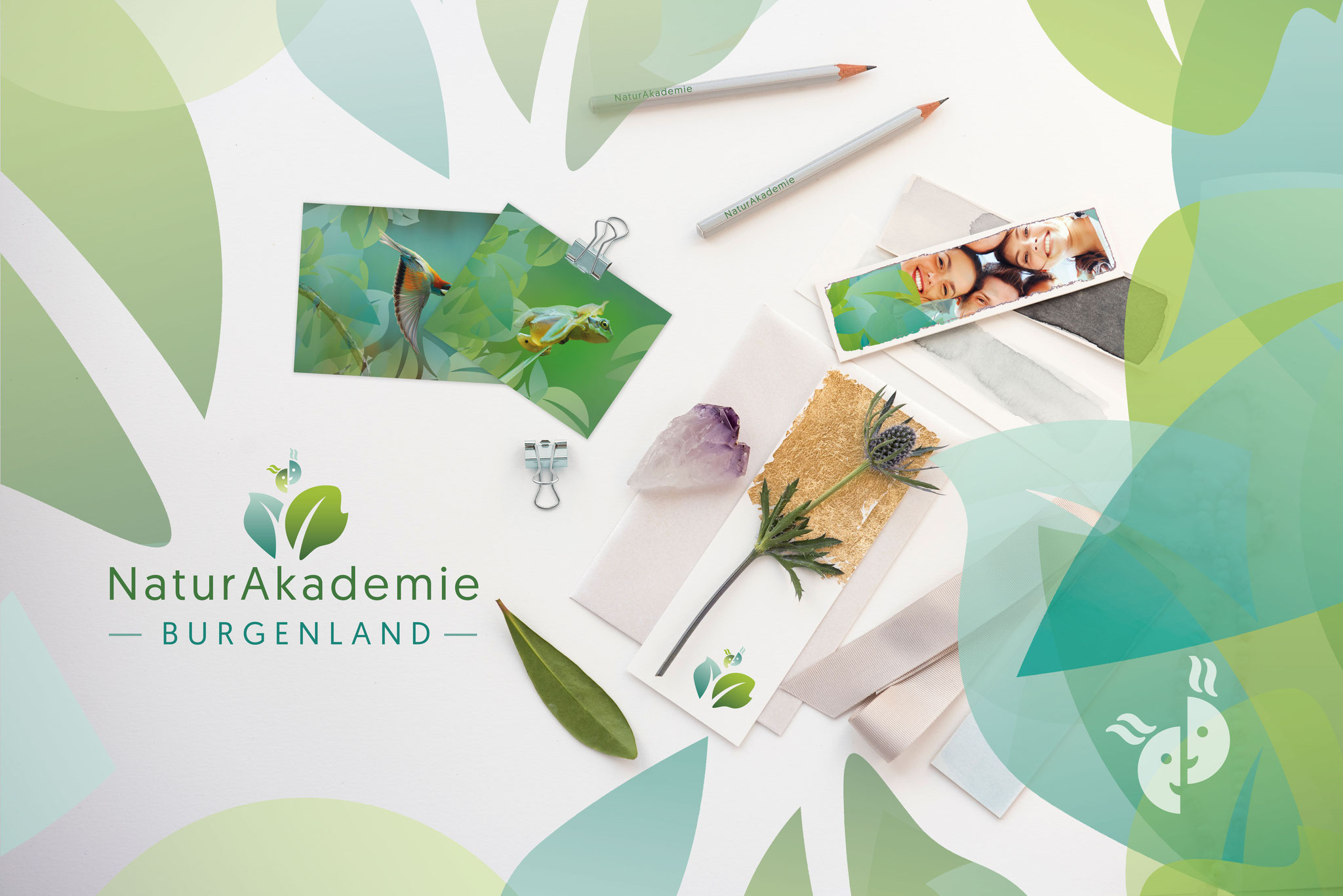 Naturakademie Bgld. | Logo, CI, Folder | Website