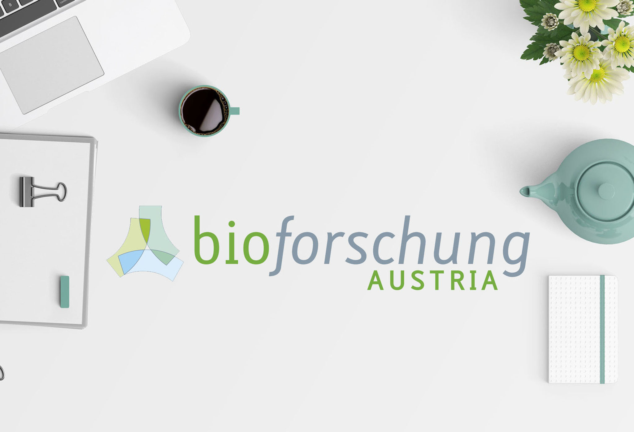 bioforschung | Logo & CI