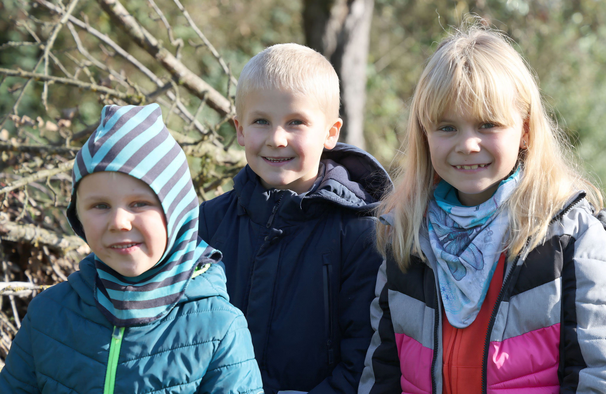 3 Fleissige Helfer haben sich an den Baum mit dem Admiral herangeschlichen