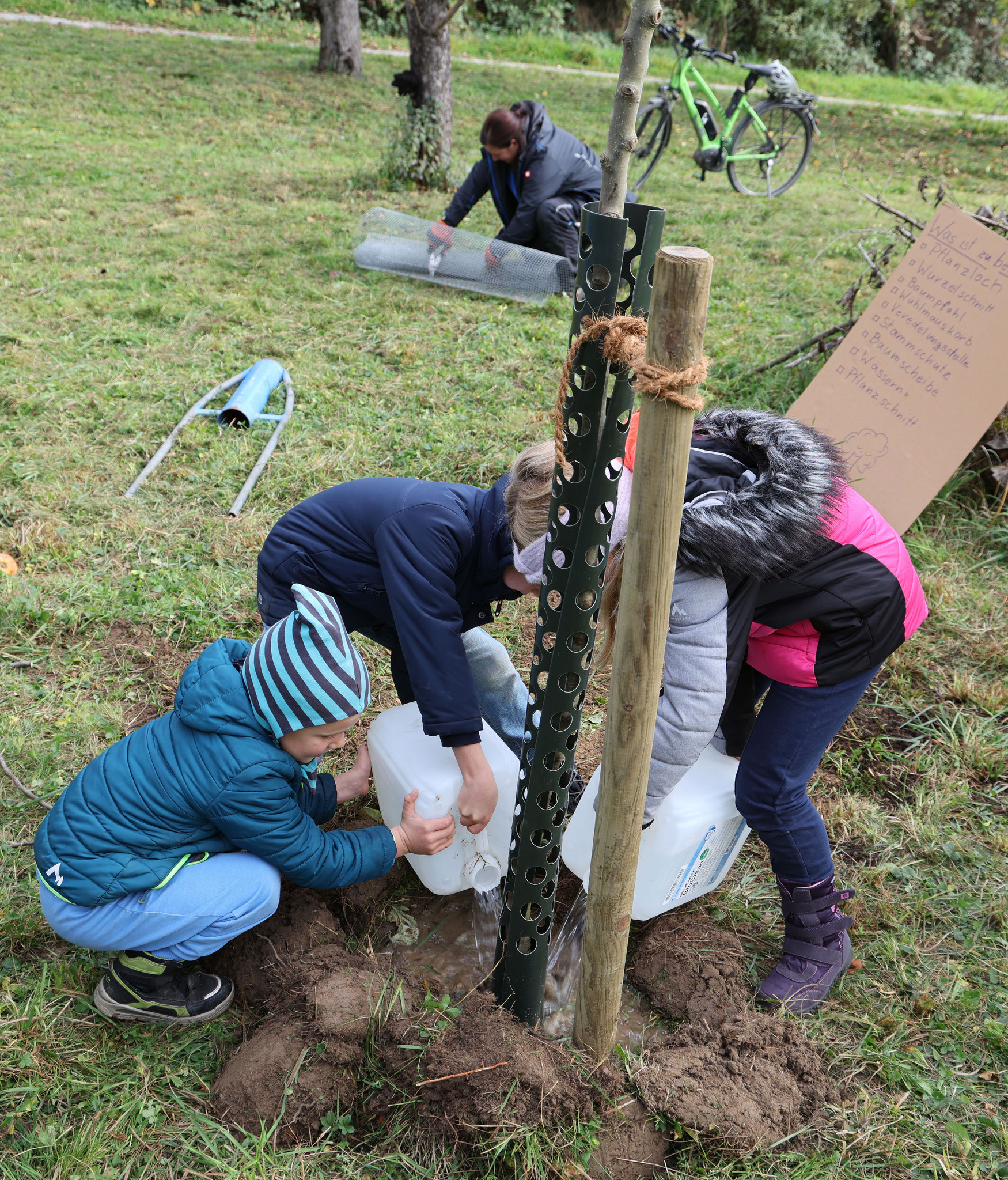 der neu gepflanzte Apfelbaum wird bewässert und beide neuen Bäume bekommen einen schönen Namen