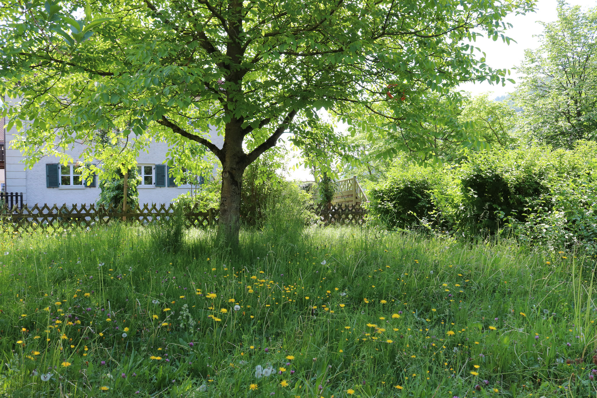 Donauvilla Jochenstein Garten Südosten