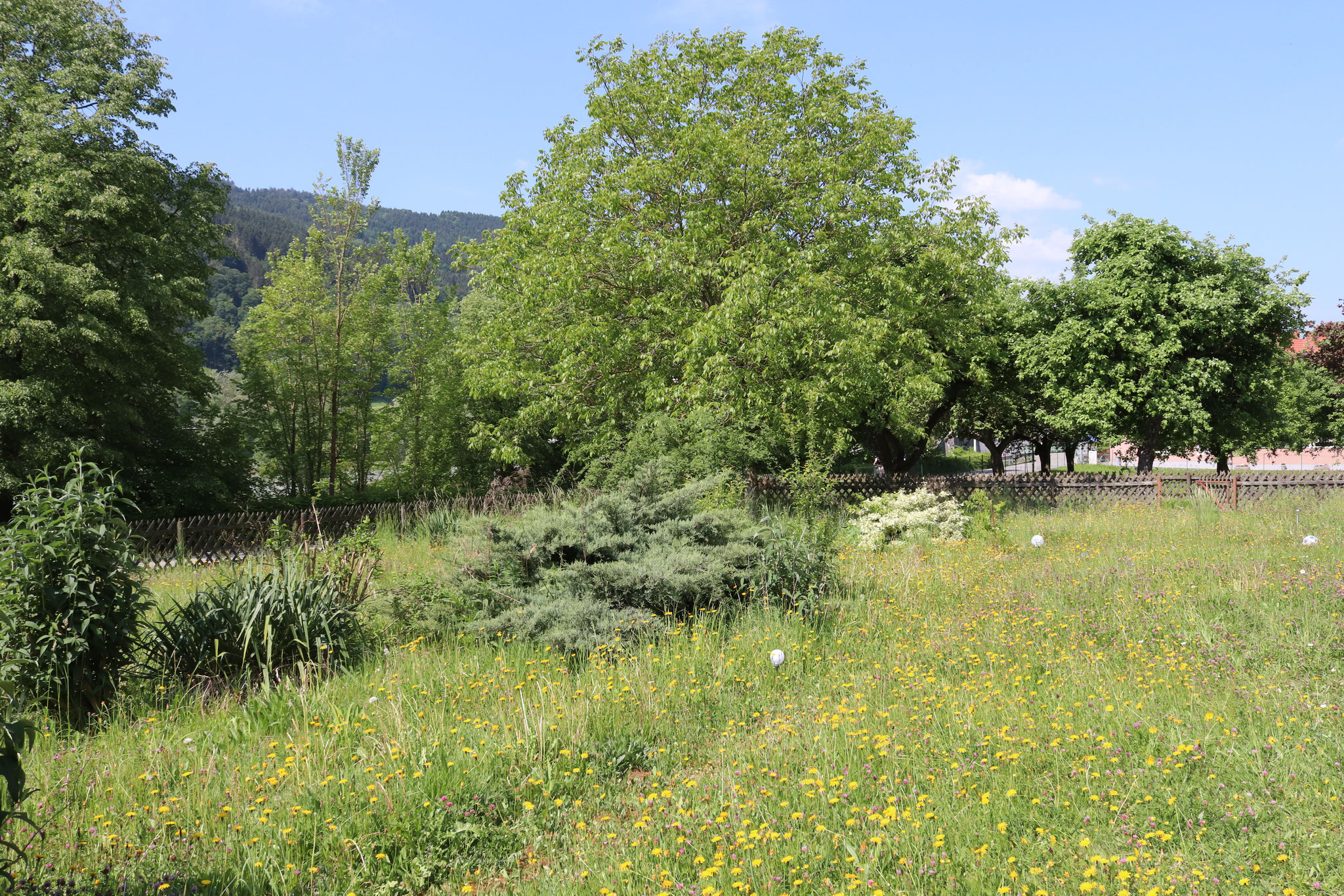 Donauvilla Jochenstein Gartenanteil Süden