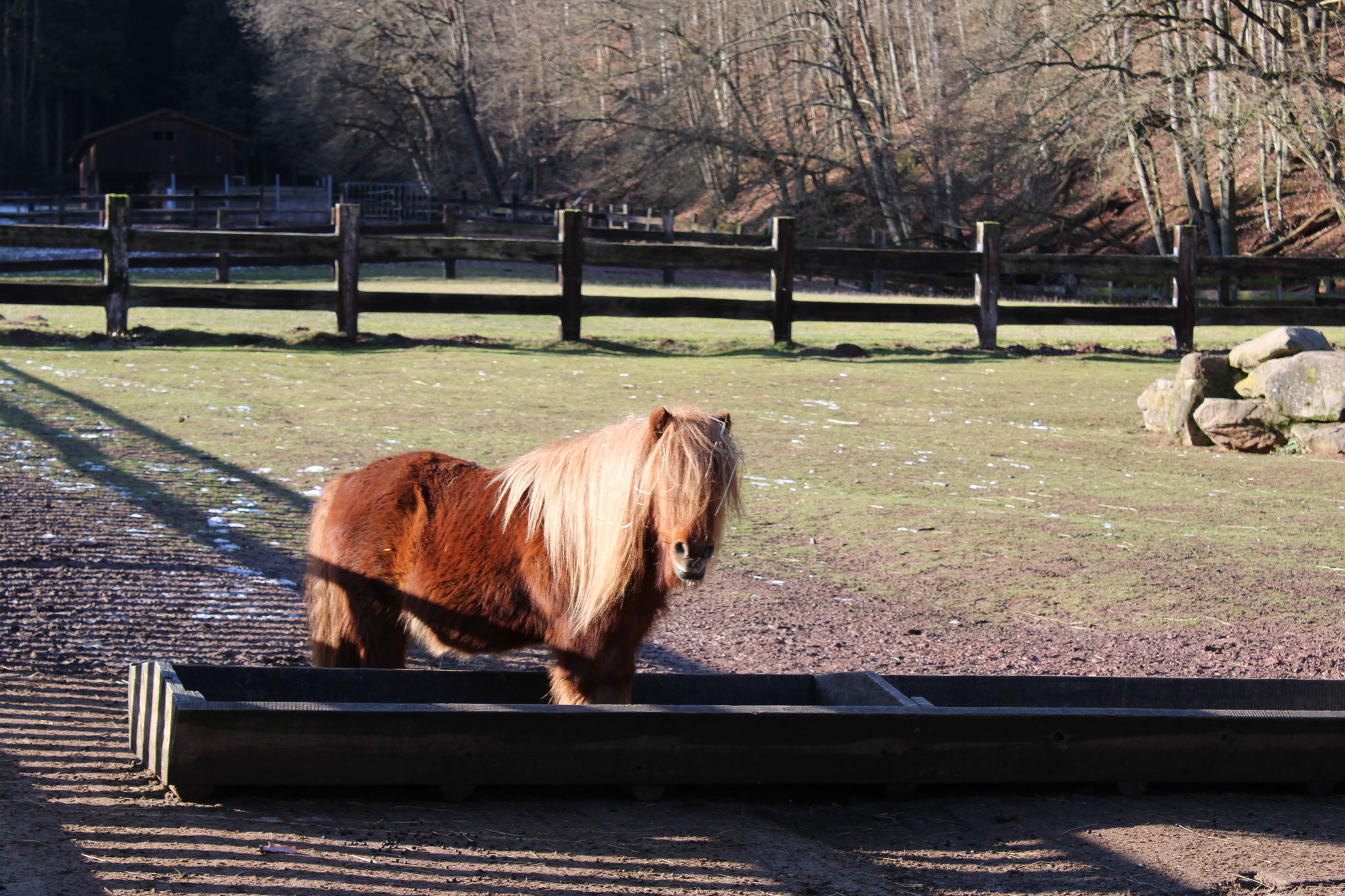 Wild- und Wanderpark Silz