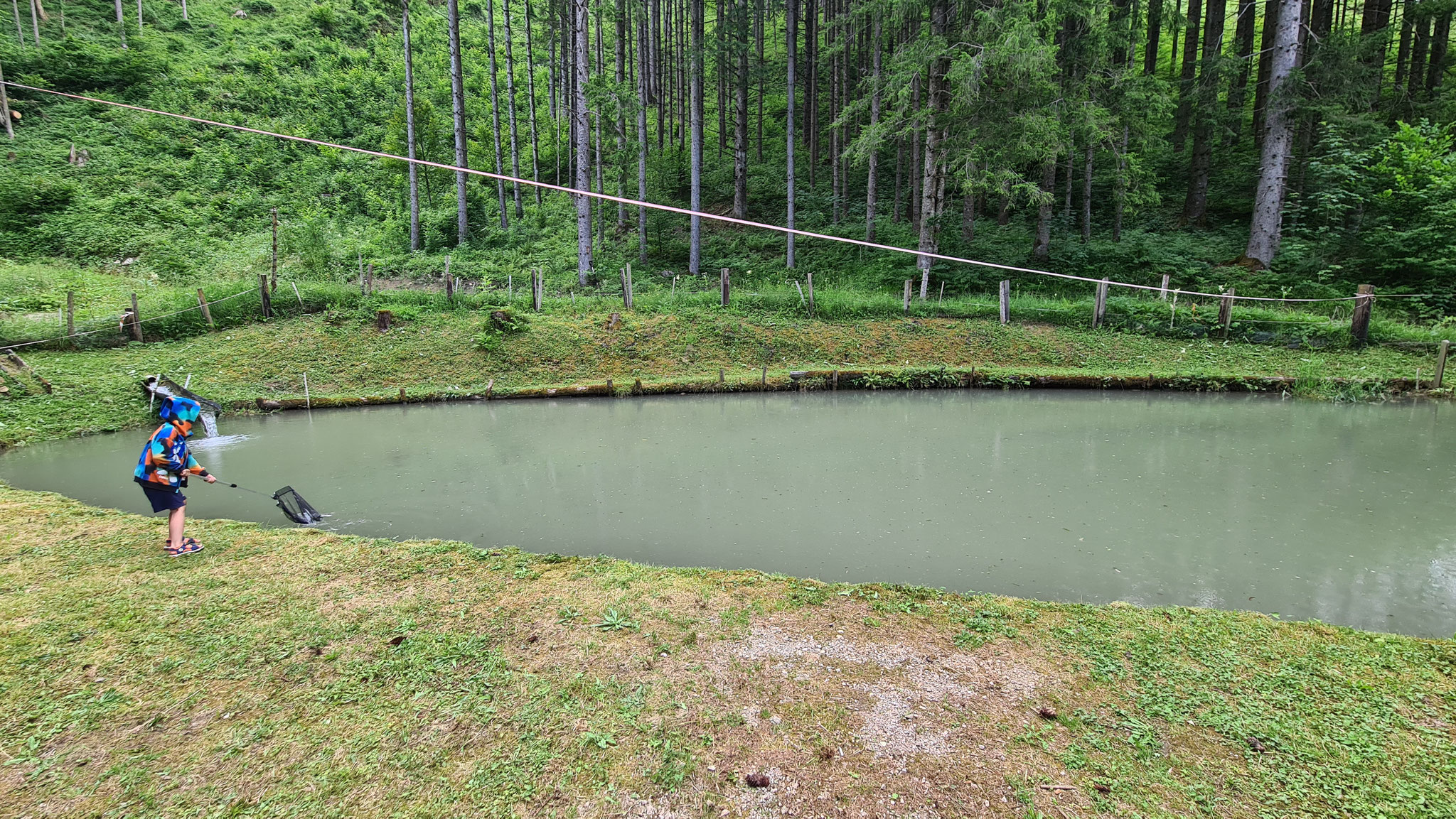 Ein Fischteich war nach einem starken Unwetter trübe geworden. Um die Wasserqualität zu verbessern, wurde beschlossen, den Teich mit KE-humin zu behandeln.