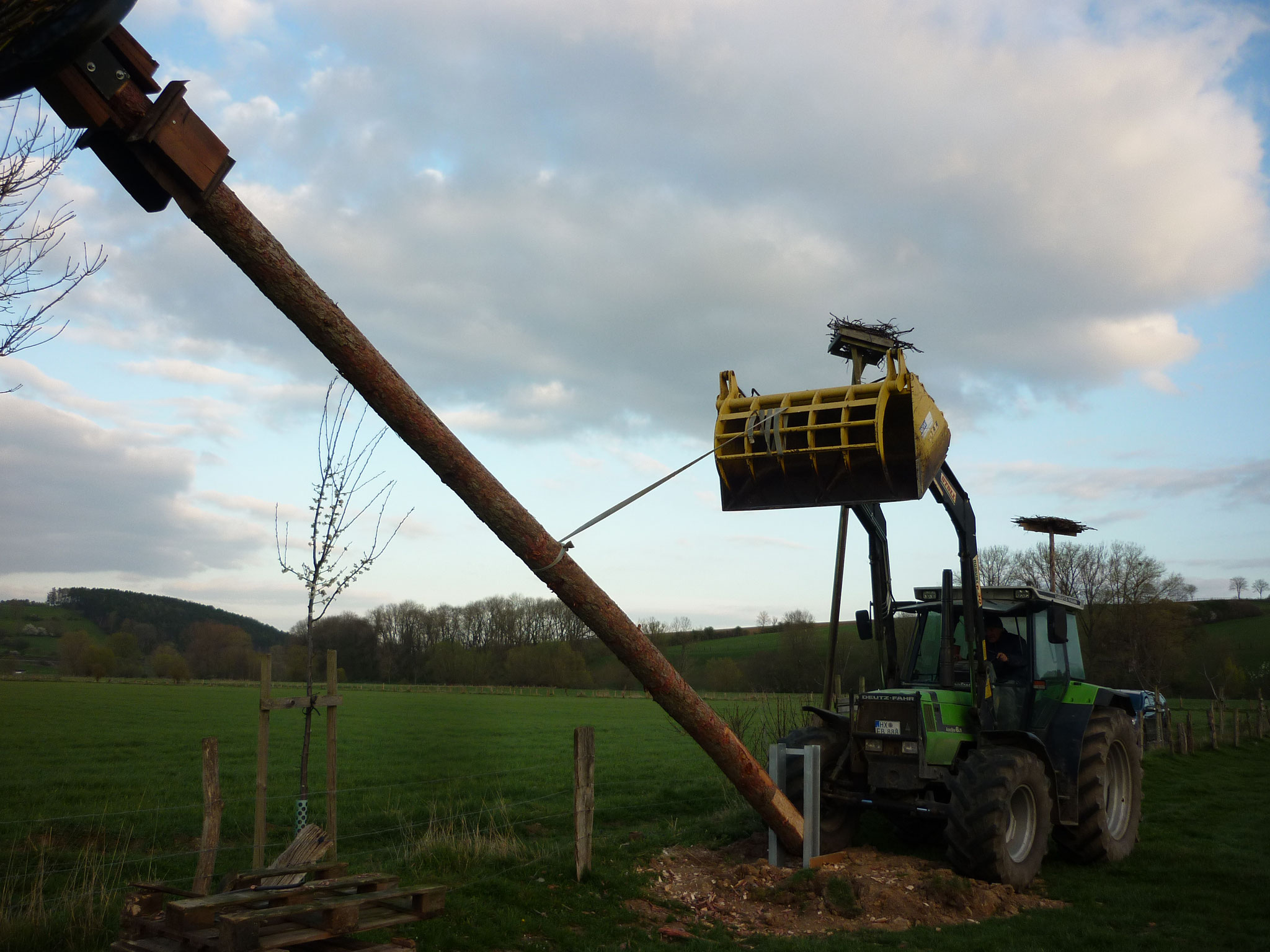 Der Mast wird hochgezogen.