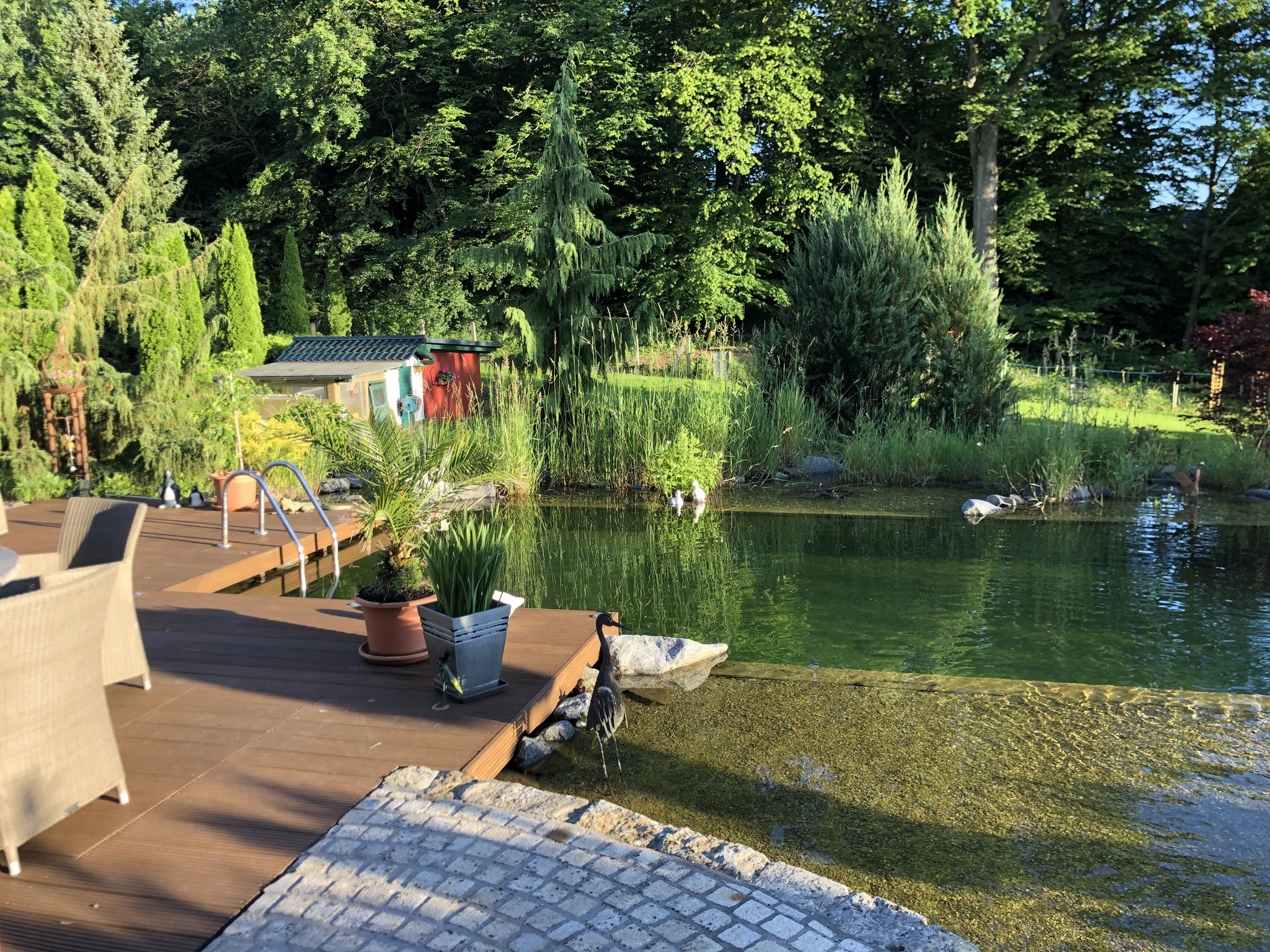 Aquarium Service AquaServiceHopf