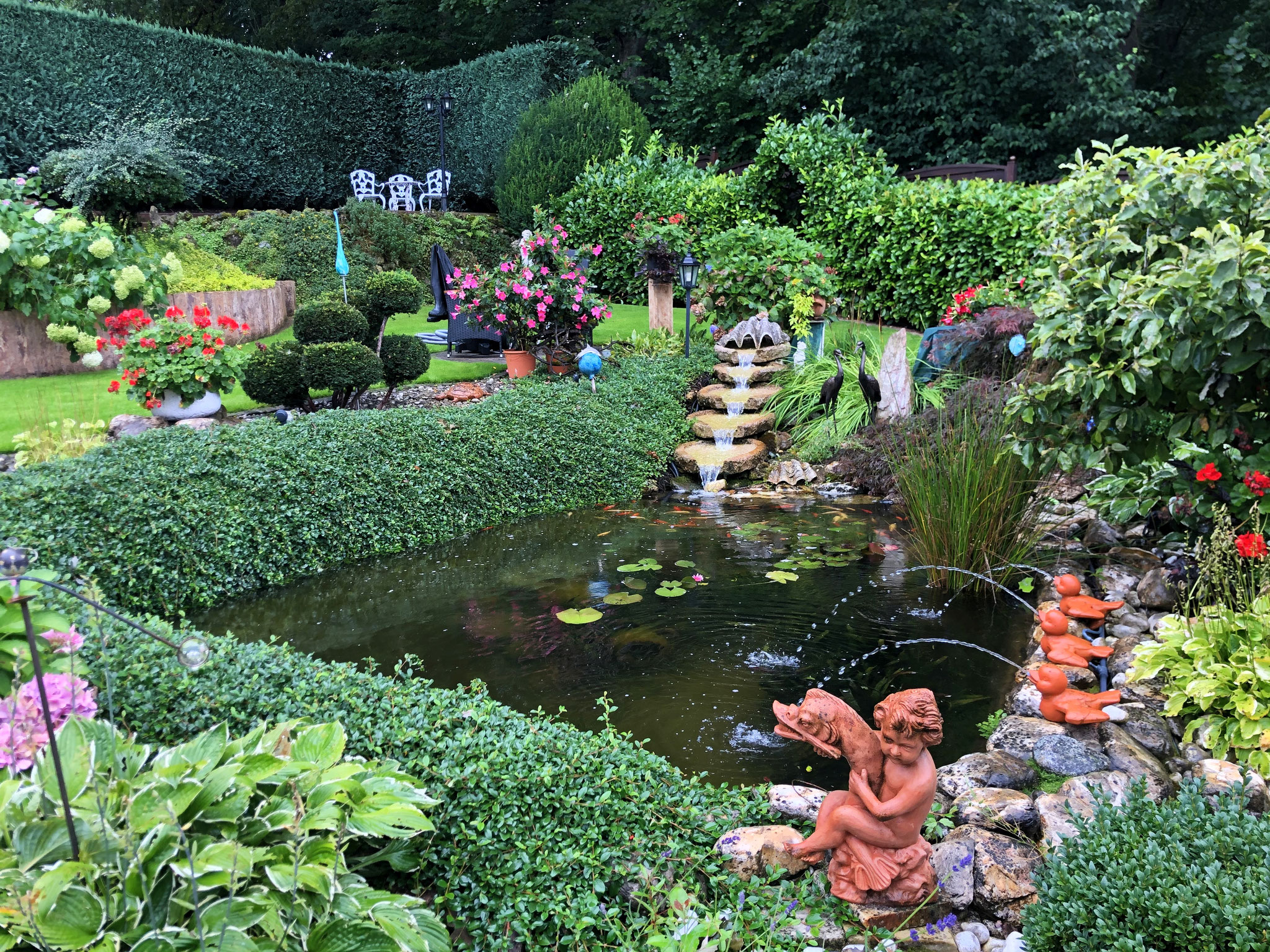 Aquarium Service AquaServiceHopf