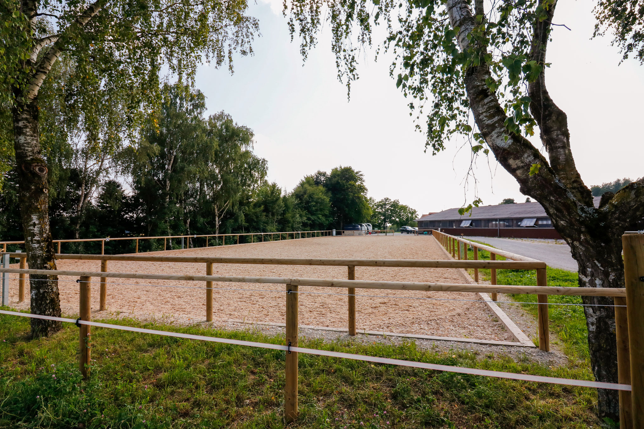 Außenviereck 20 x 60 Meter