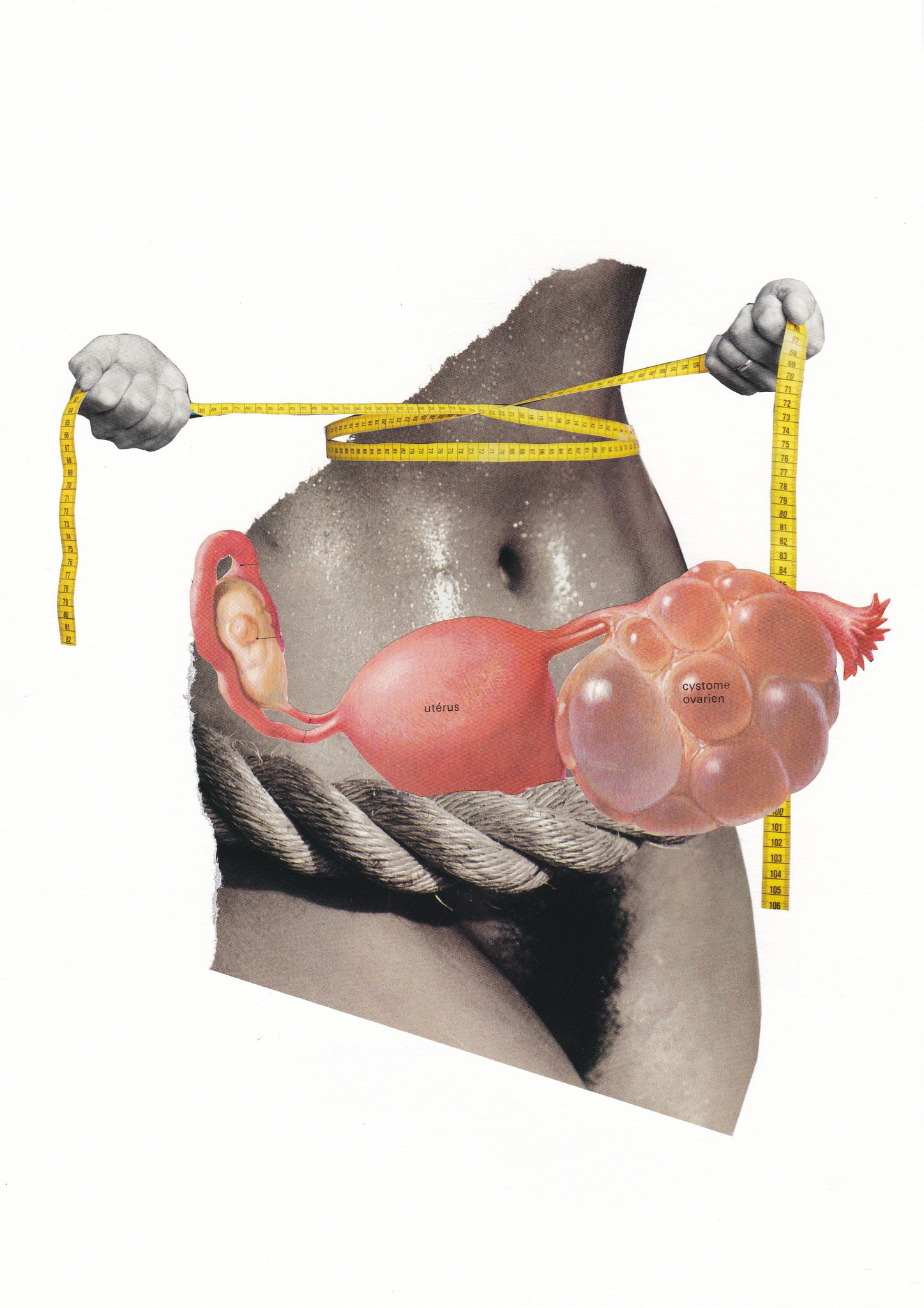 No diet, 21x30cm, 2018