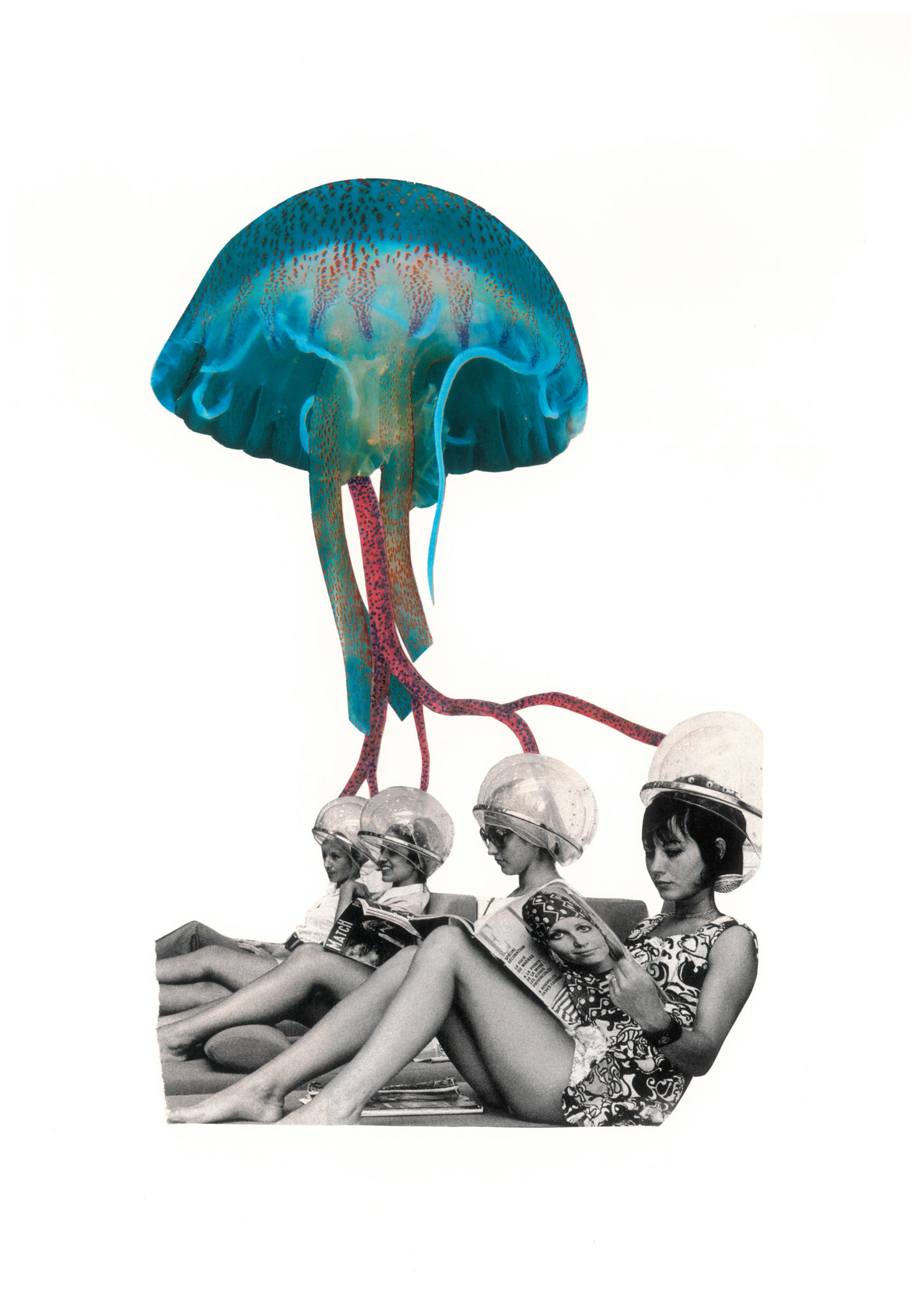 Ecervellées, 21x30cm, 2020