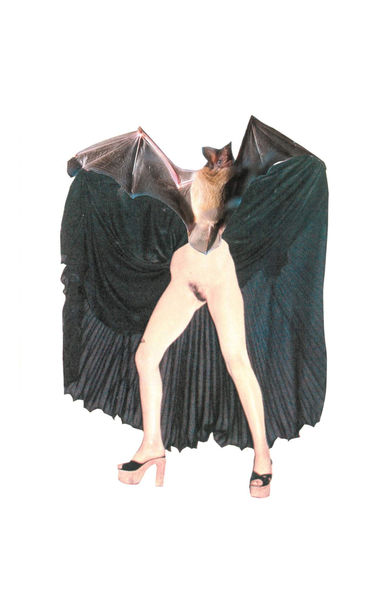 Bat chatte, 13x21cm, 2017