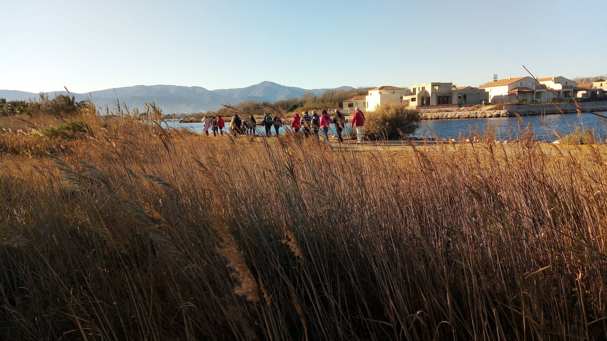 Saint Cyprien - La lagune - 5 décembre 2017