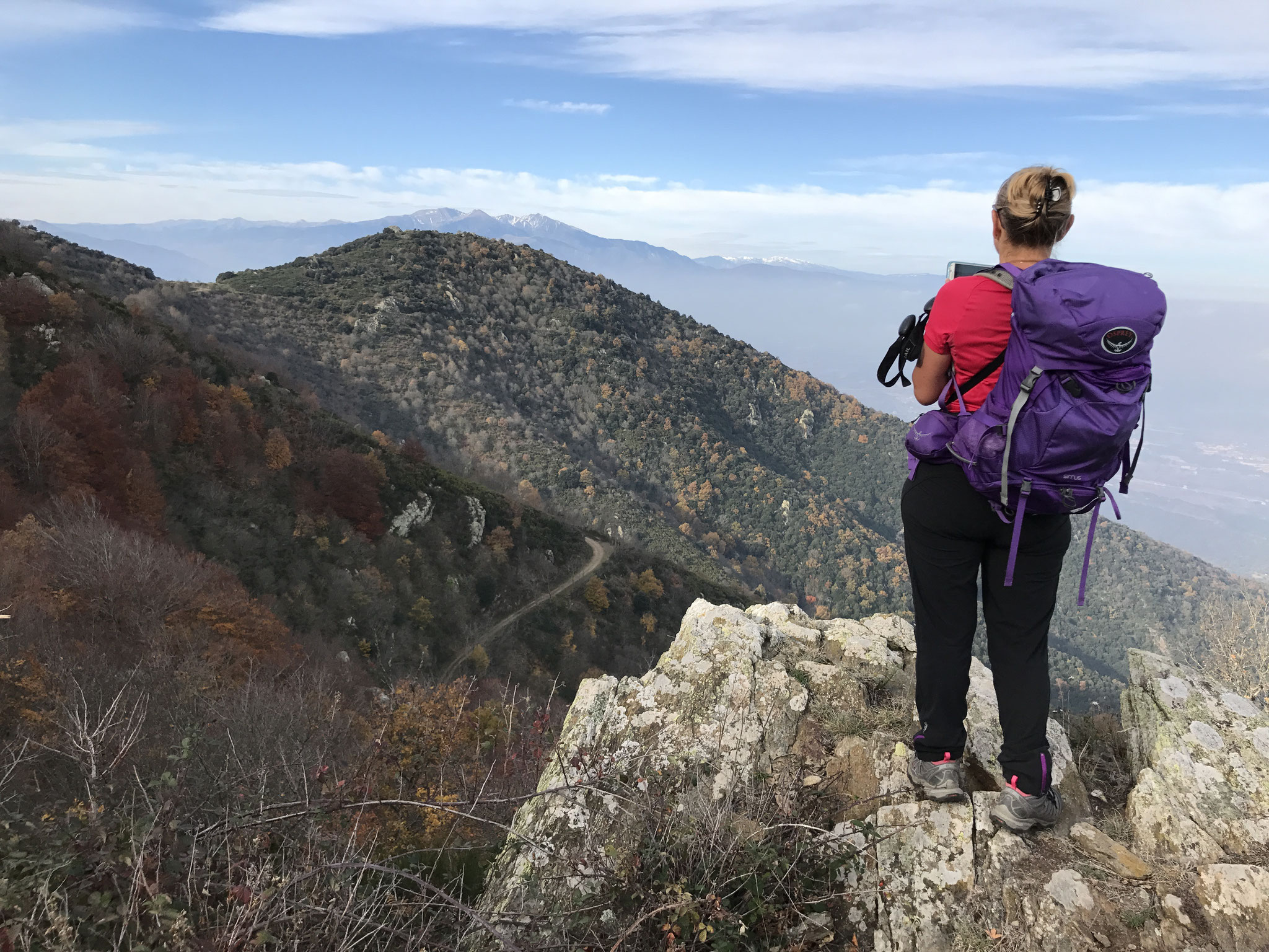 Montesquieu des Albères - Pic de Saint Christophe - Col de Llinas - 23 novembre 2017