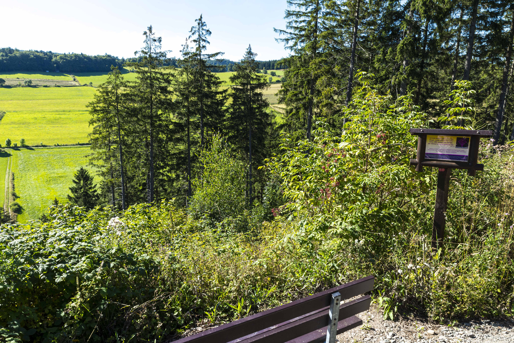 Der Pilgerweg von Schwalefeld nach Rattlar