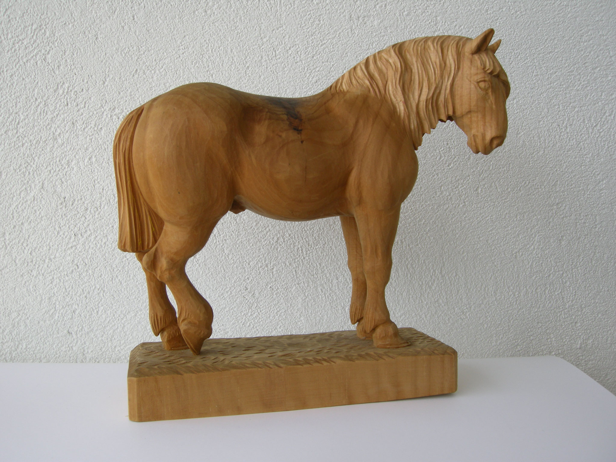 Haflinger