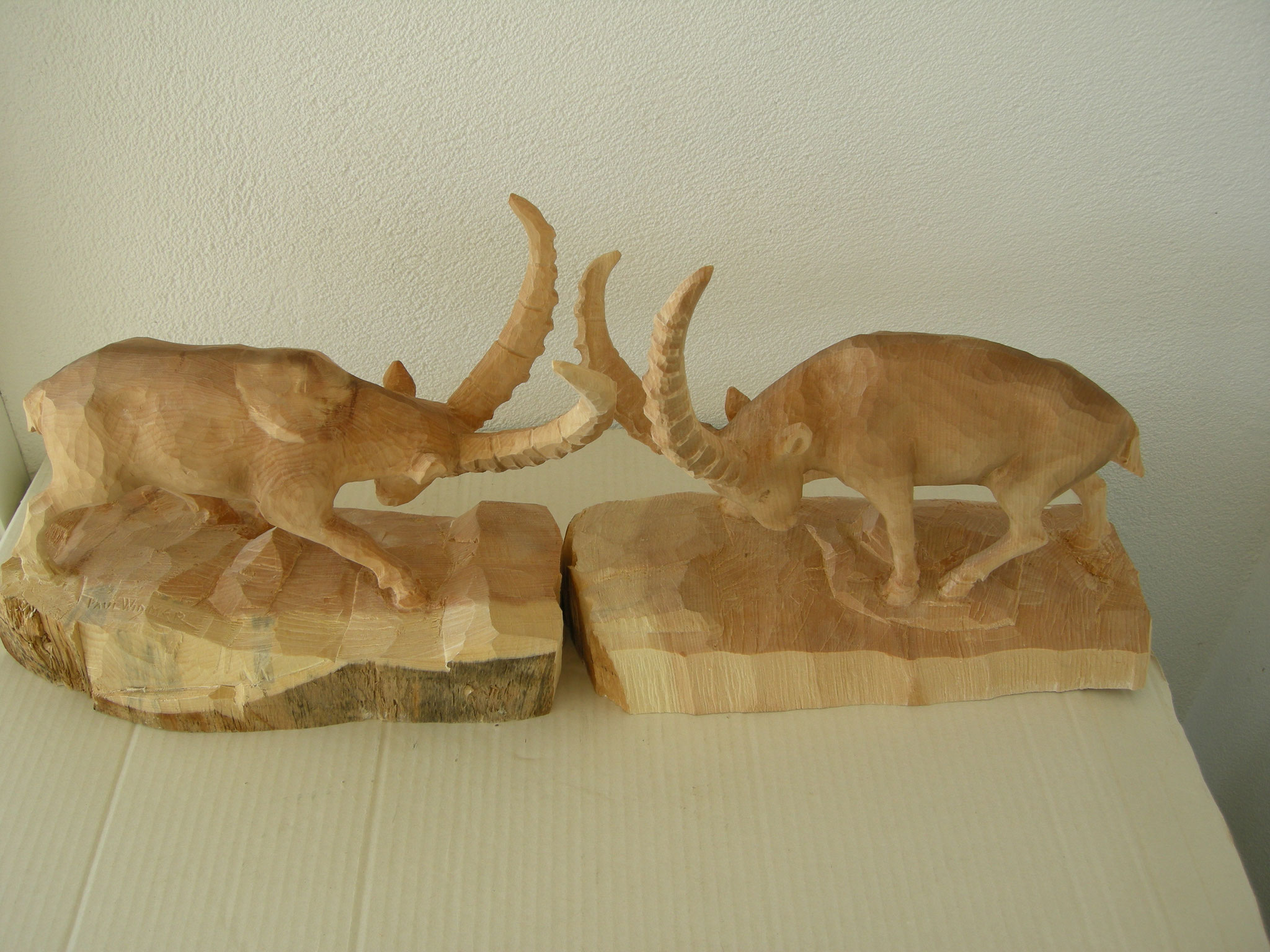 Alpensteinbock