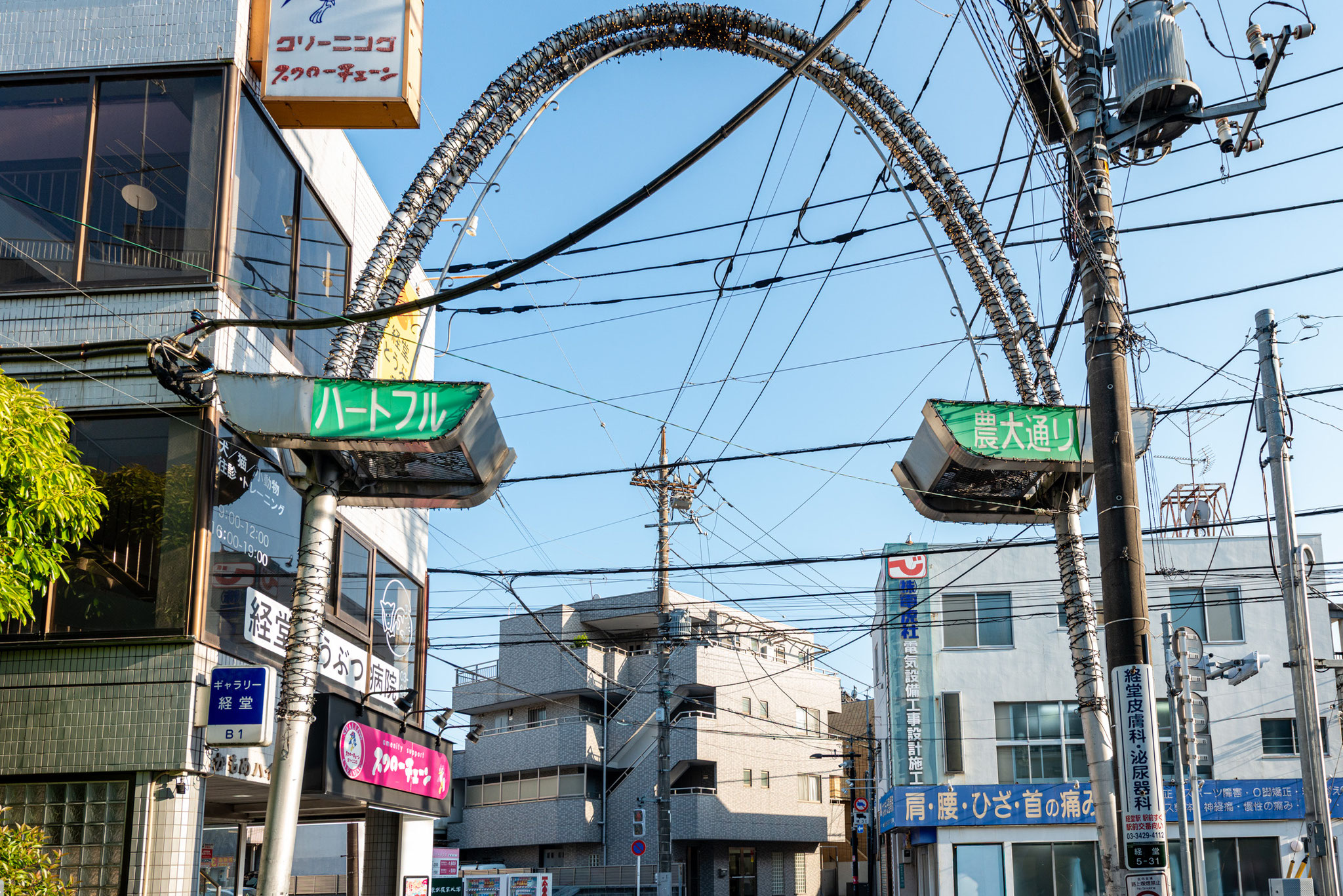 農大通り商店街