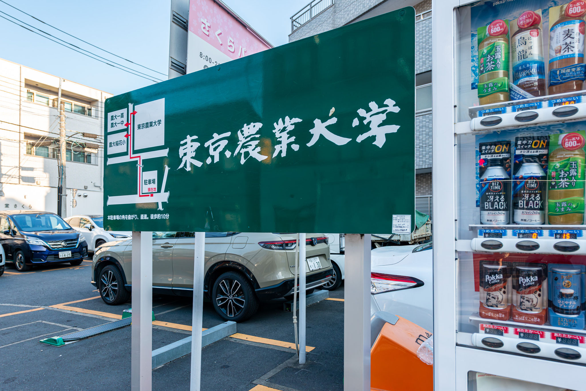 東京農大　至近