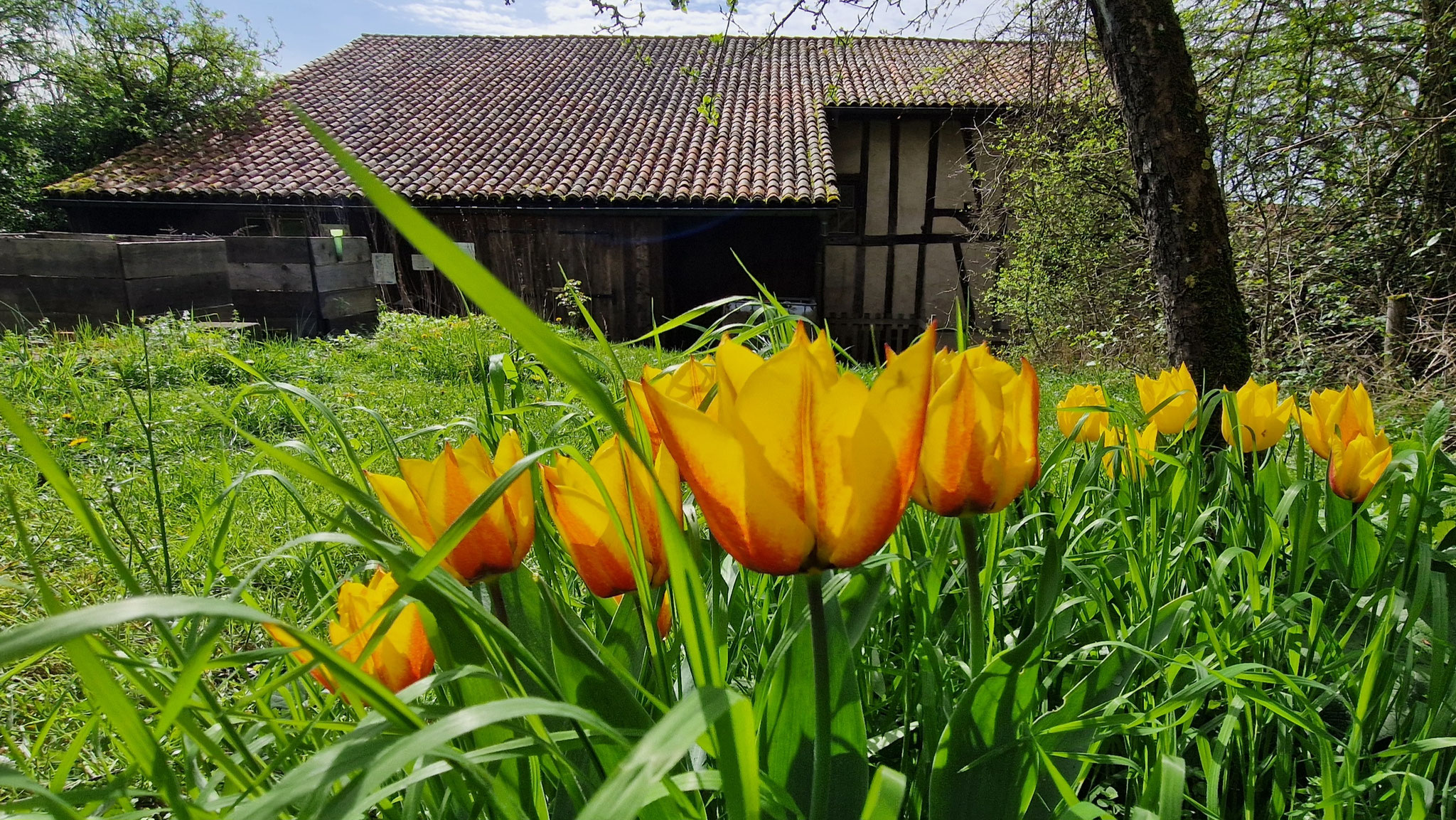 Le réveil du jardin