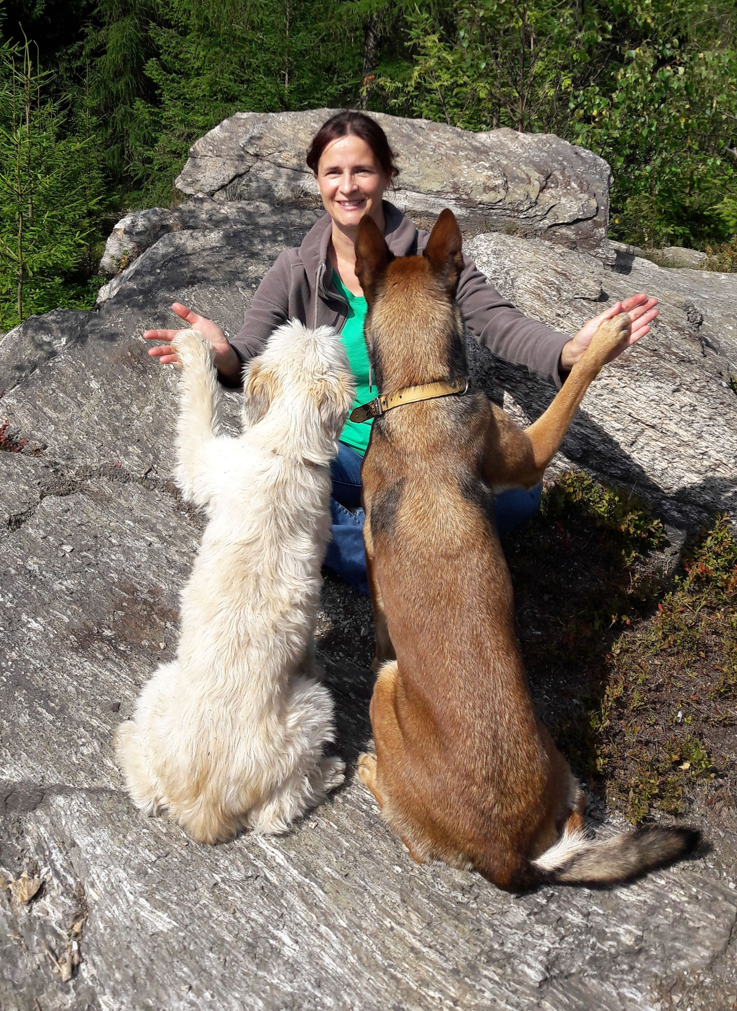 Weil Hunde mein Leben sind.