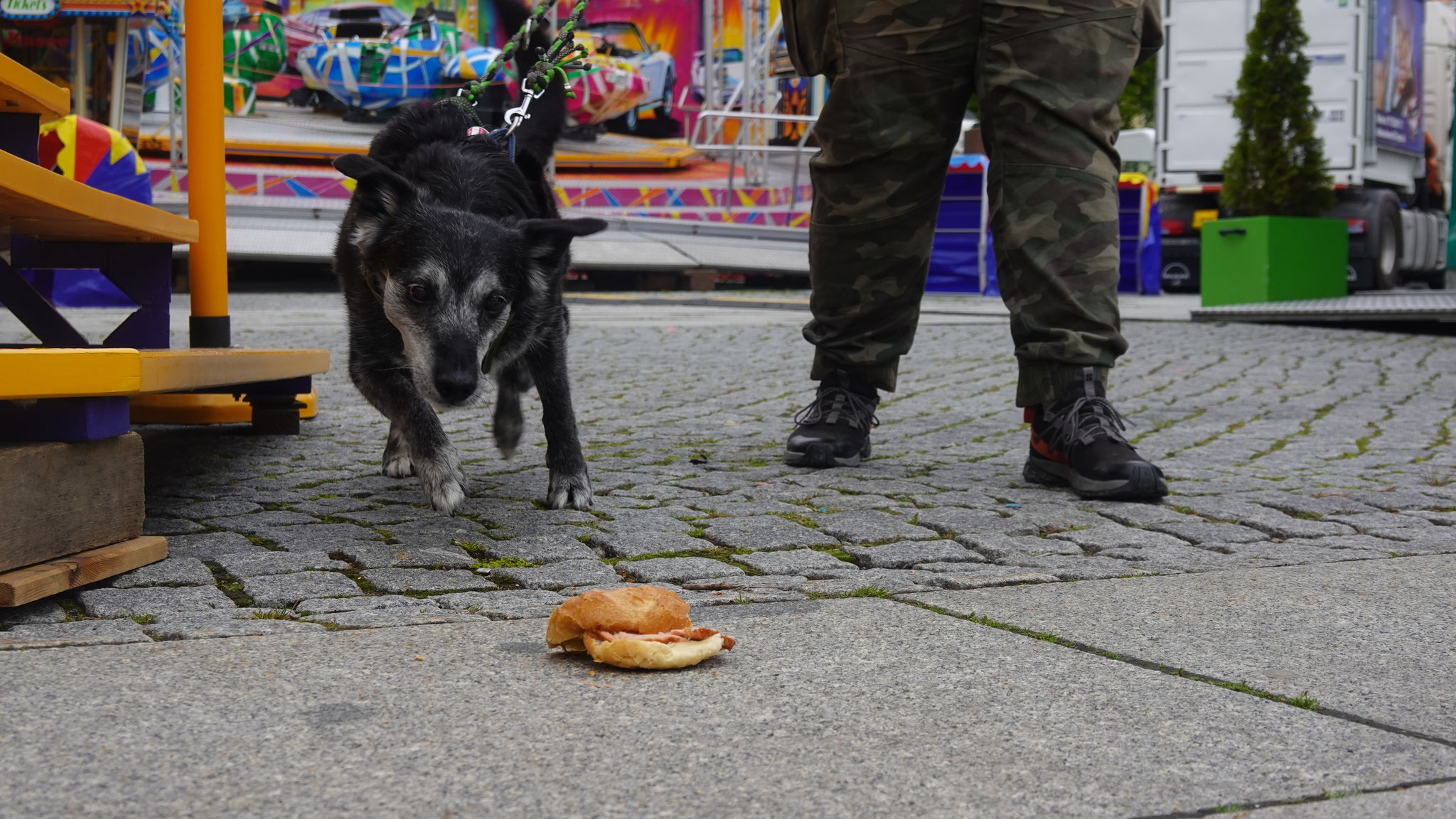 Wer alles aufsaugt, verdirbt sich schneller den Magen