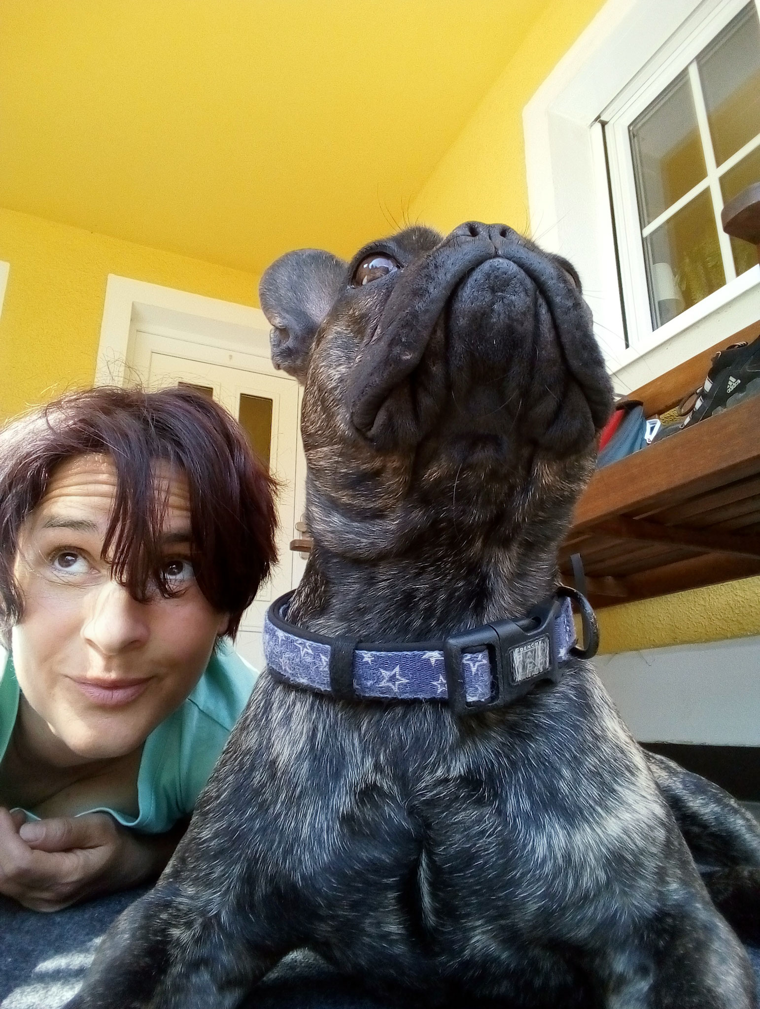 Ich betrachte die Welt auch aus Sicht der Hunde.