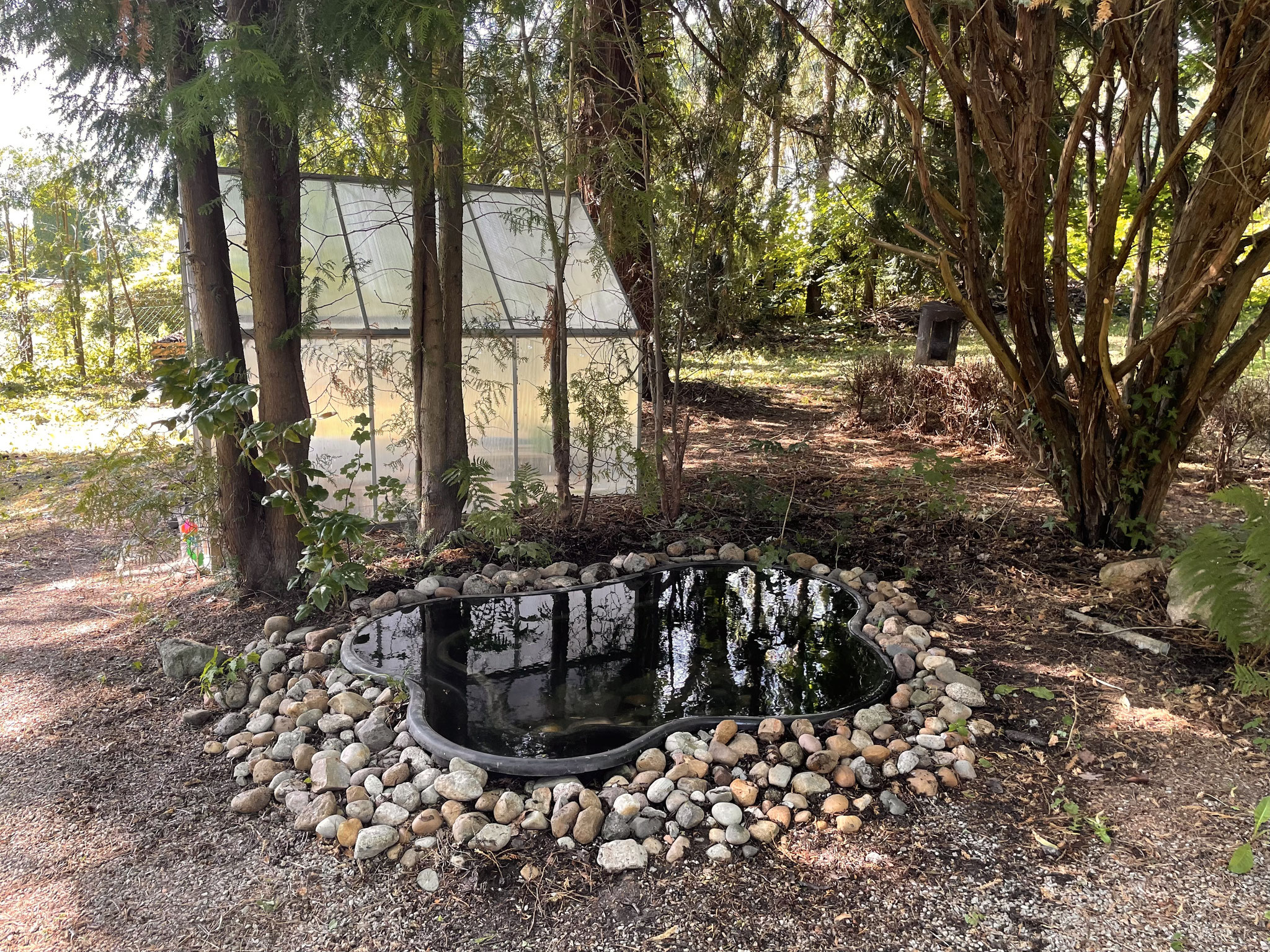 Hinweis: Es gibt im Garten auch einen kleinen Teich/Tümpel. Dieser ist direkt unter der Wasseroberfläche mit einem Gitter gesichert. 