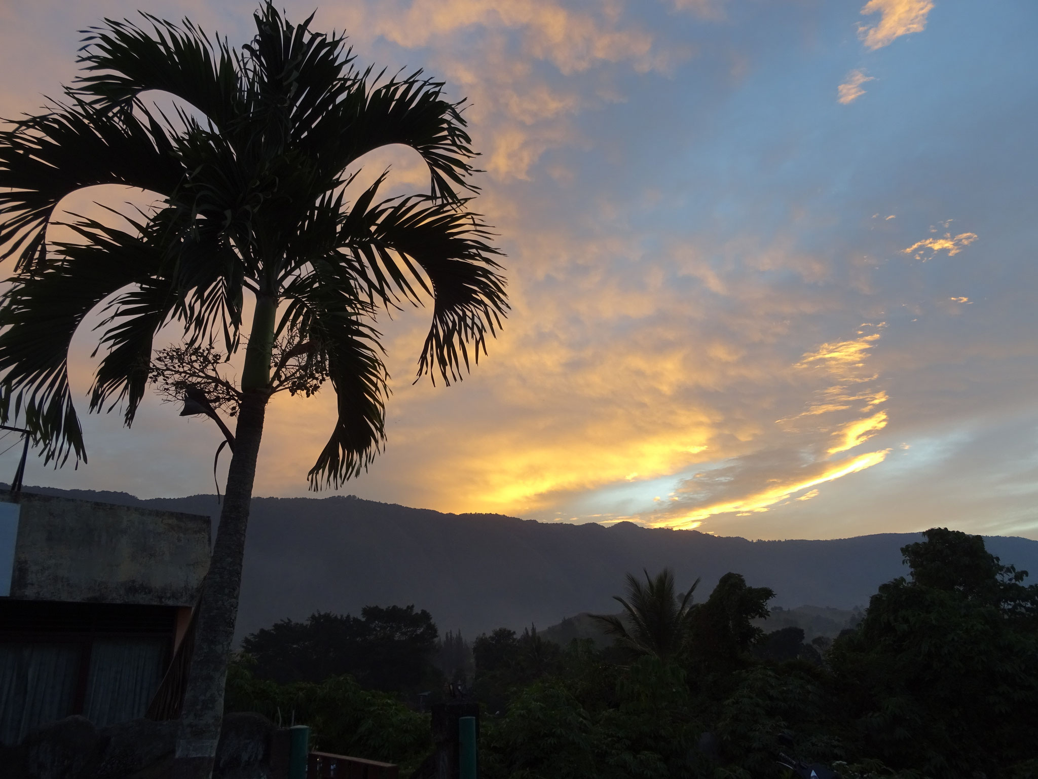 Sonnenuntergang mit Palme