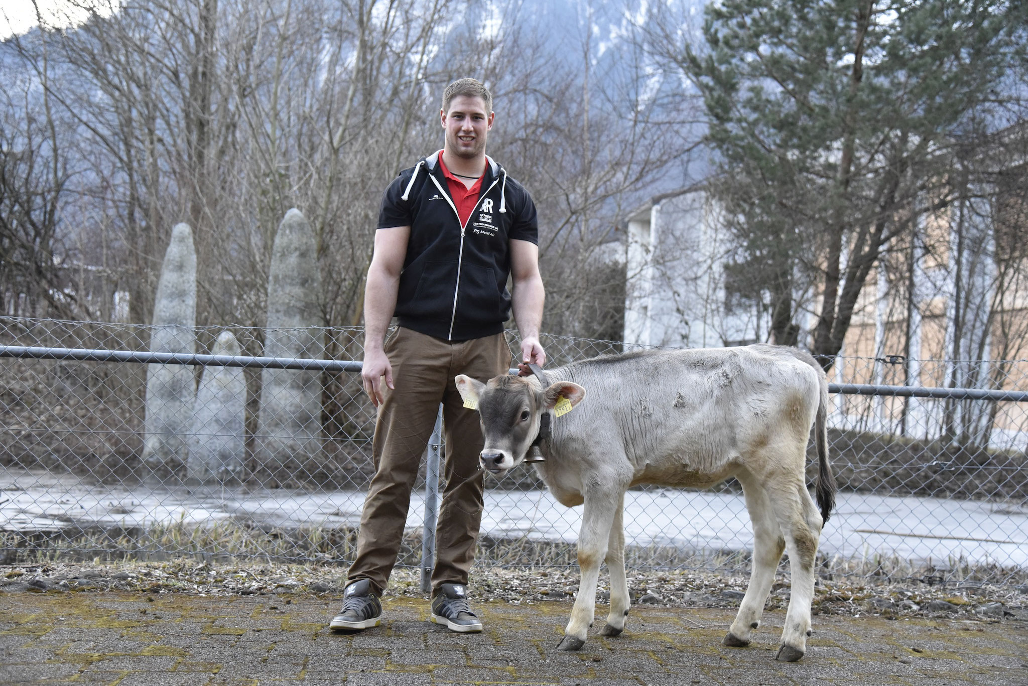 Hallenschwinget Niederurnen 2017 mit Siegerkalb Lilly