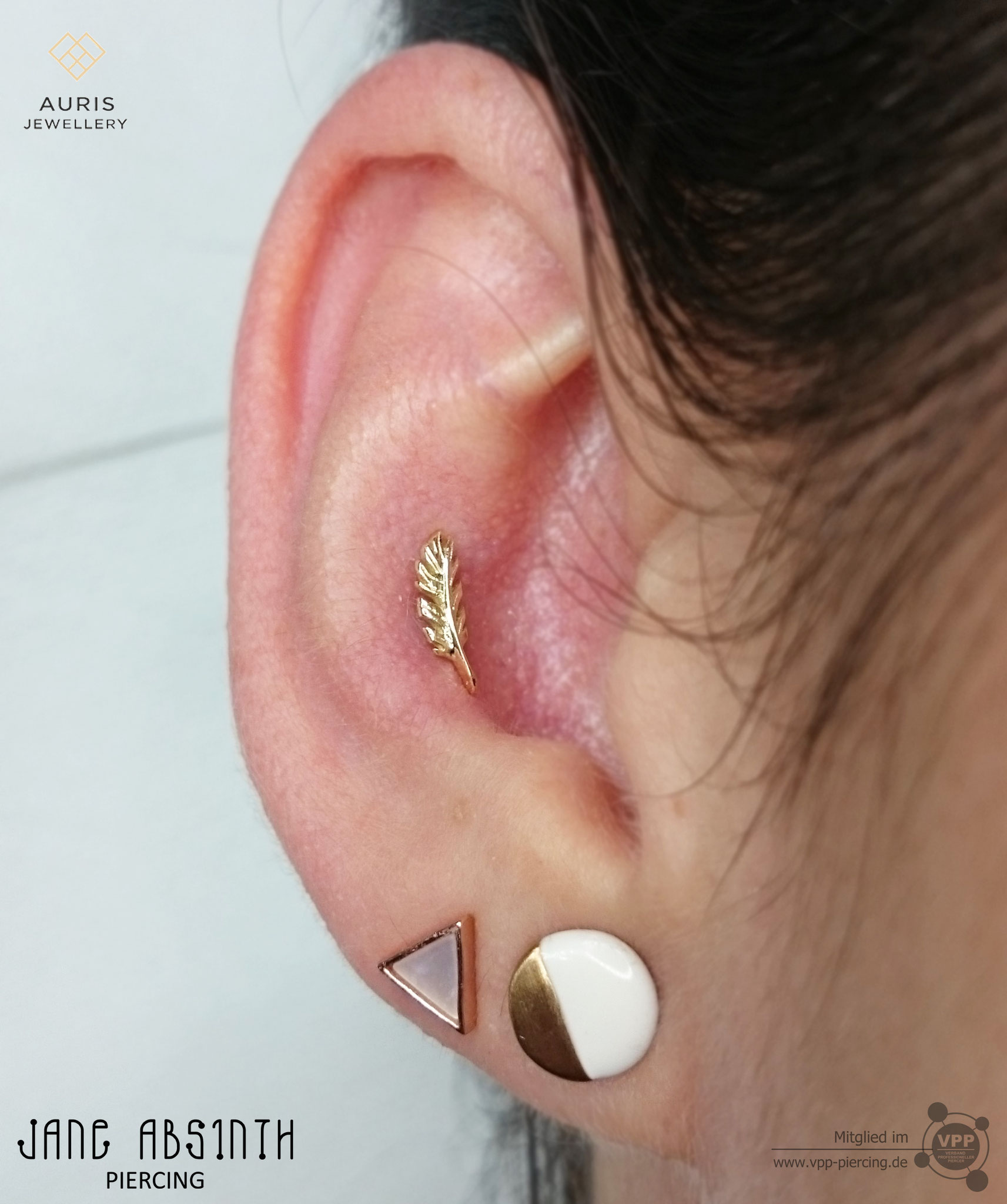 Conch Piercing mit der Phoenix Feder 14K Gelbgold