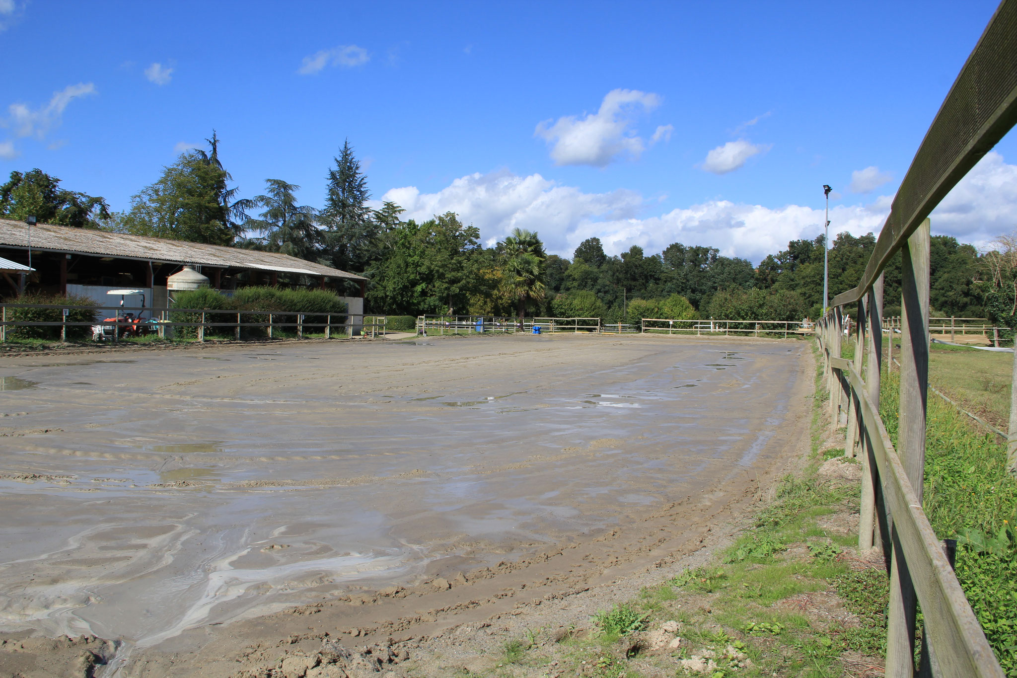 Carrière de dressage