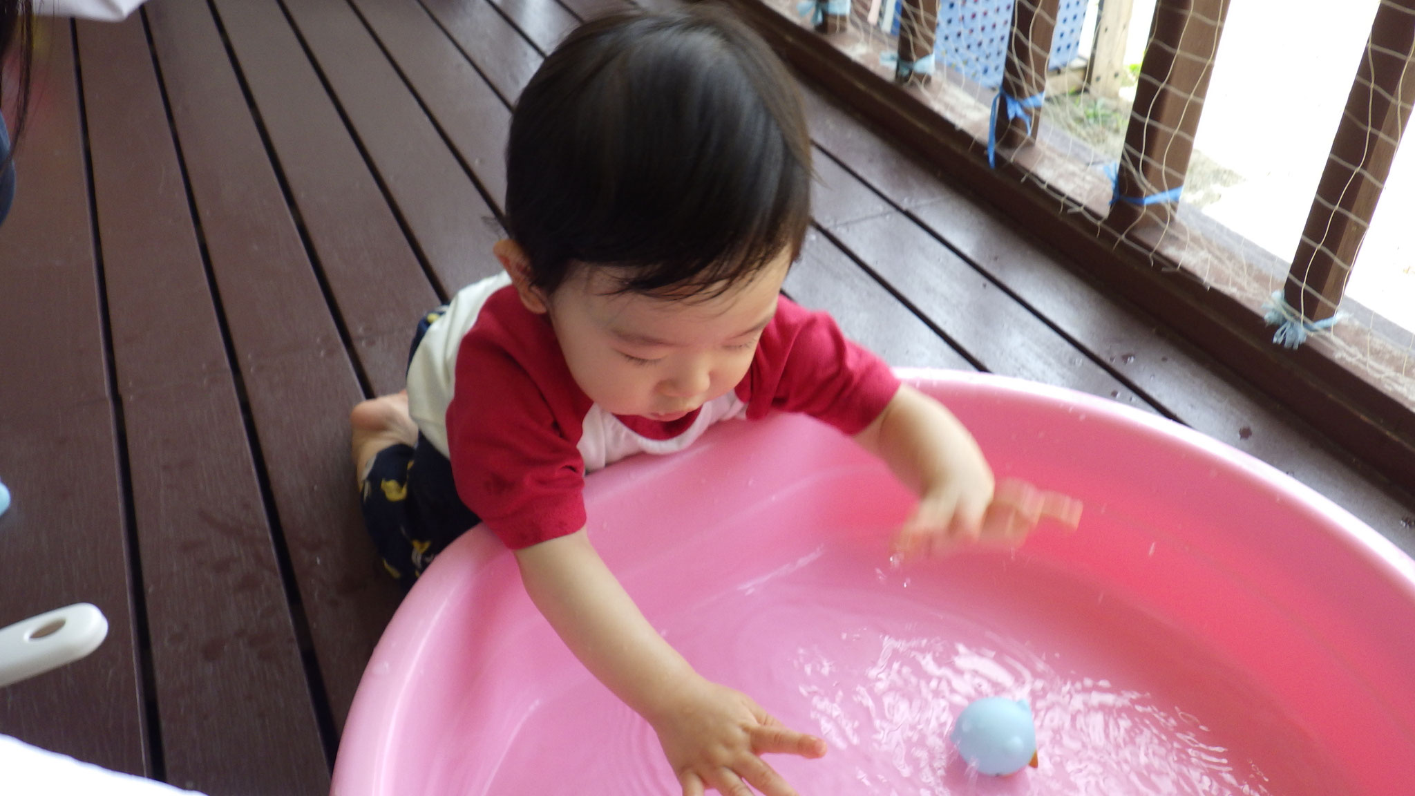 6月16日　お水をパシャパシャ💦