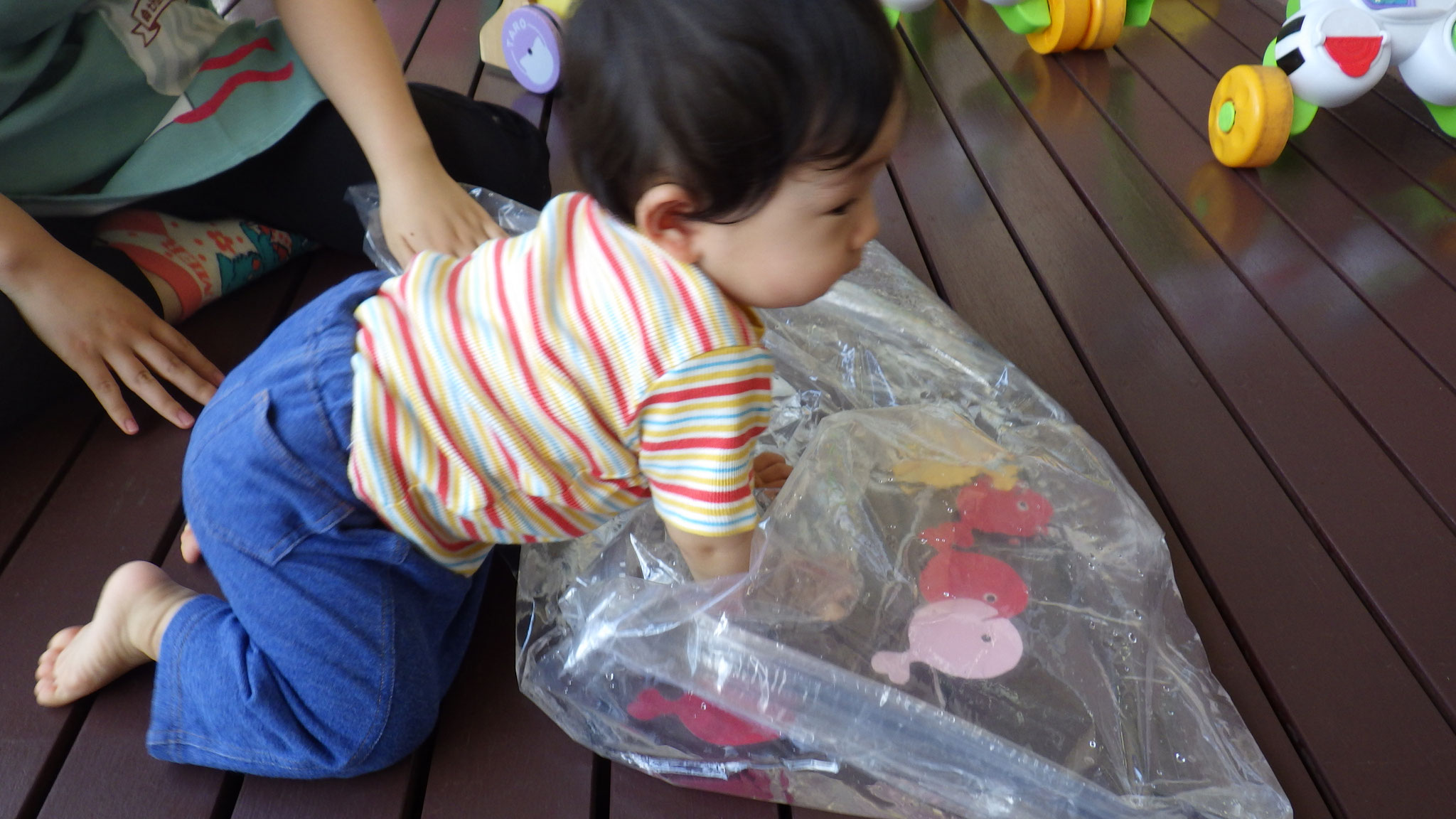 6月15日　冷たくて気持ちがいいな～☺