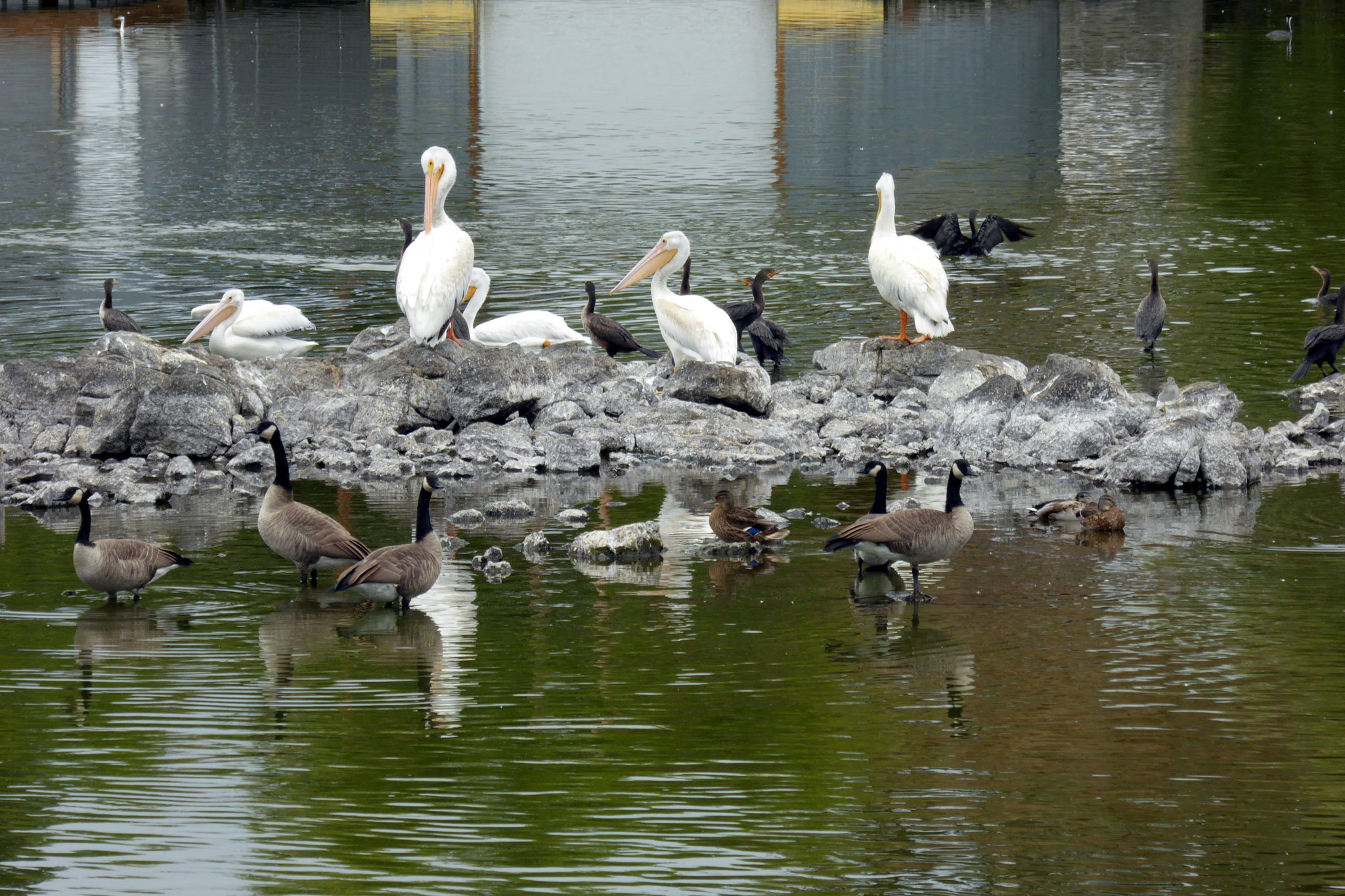 Pelican Marina/Putnam´s Point Klamath Falls USA Lothars Reisen ins