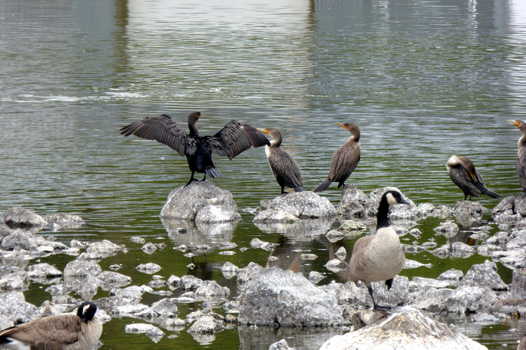 Pelican Marina/Putnam´s Point Klamath Falls USA Lothars Reisen ins