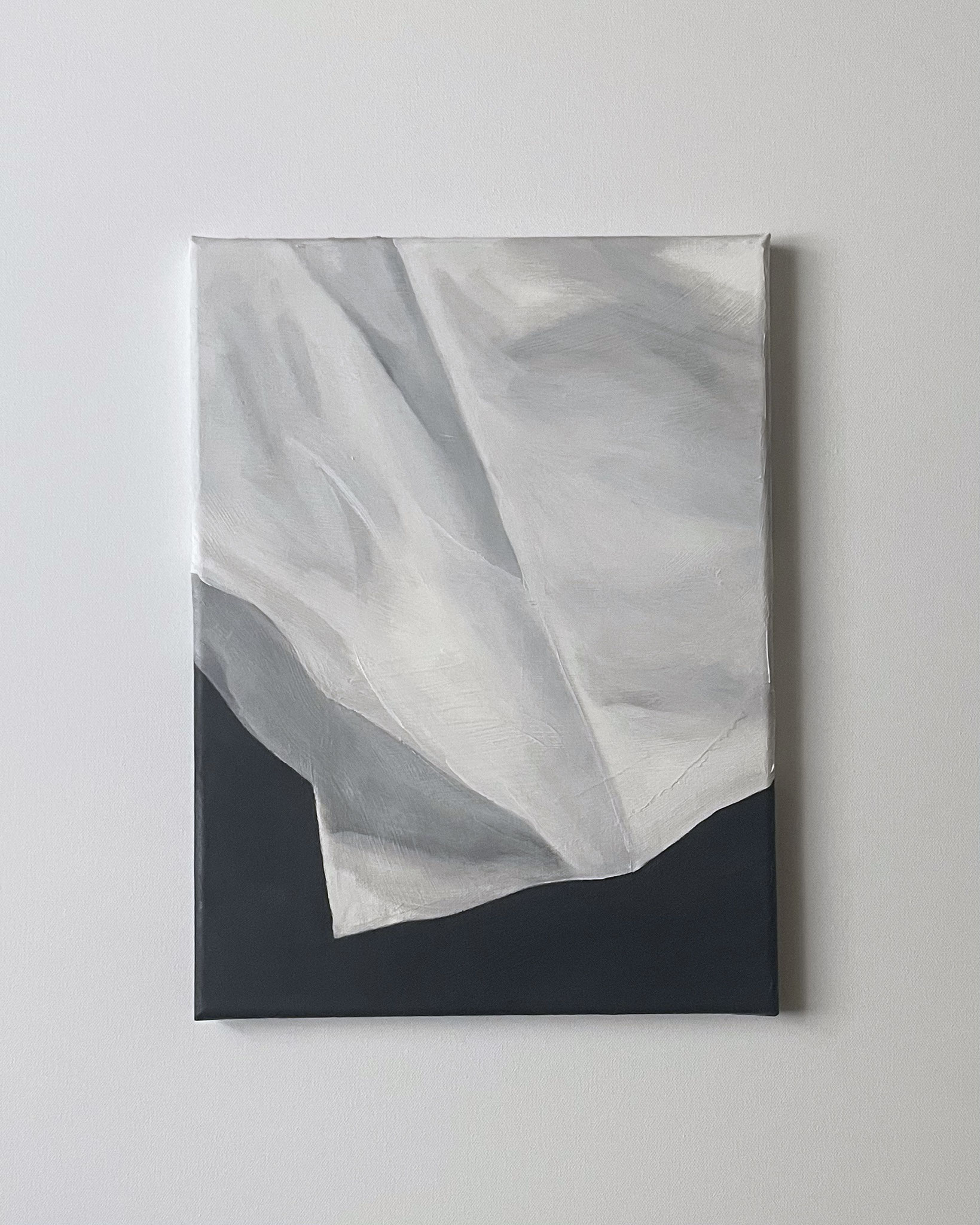 SHEET II, acrylic on canvas, 40 x 30 cm, 2024