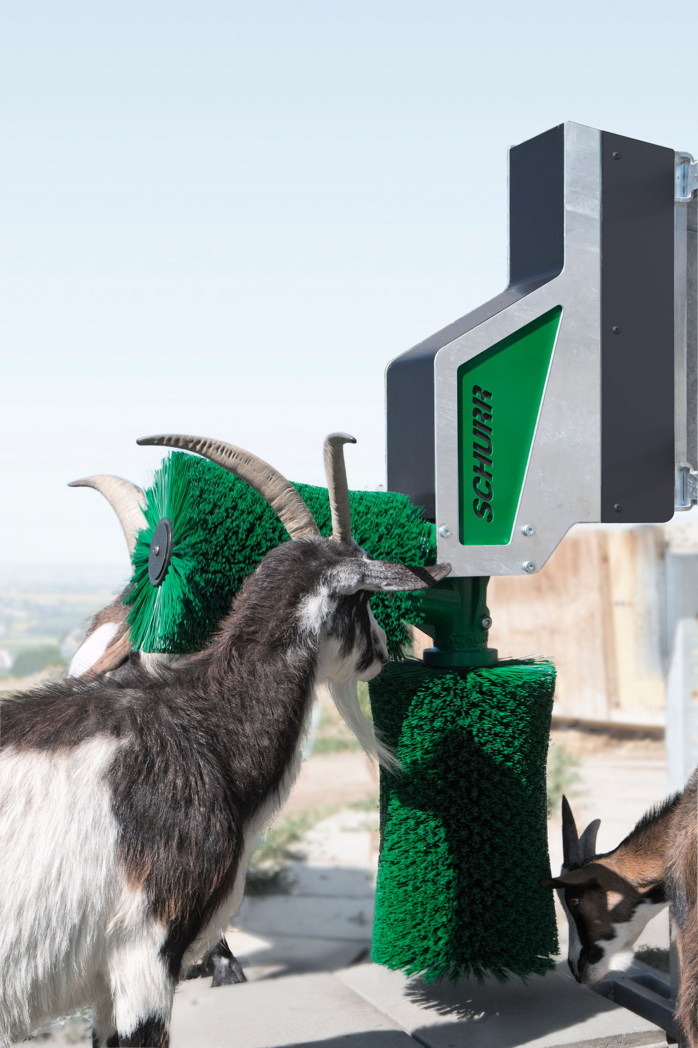 SCHURR 2brushsystem for goats goatbrush Schurr Gerätebau GmbH