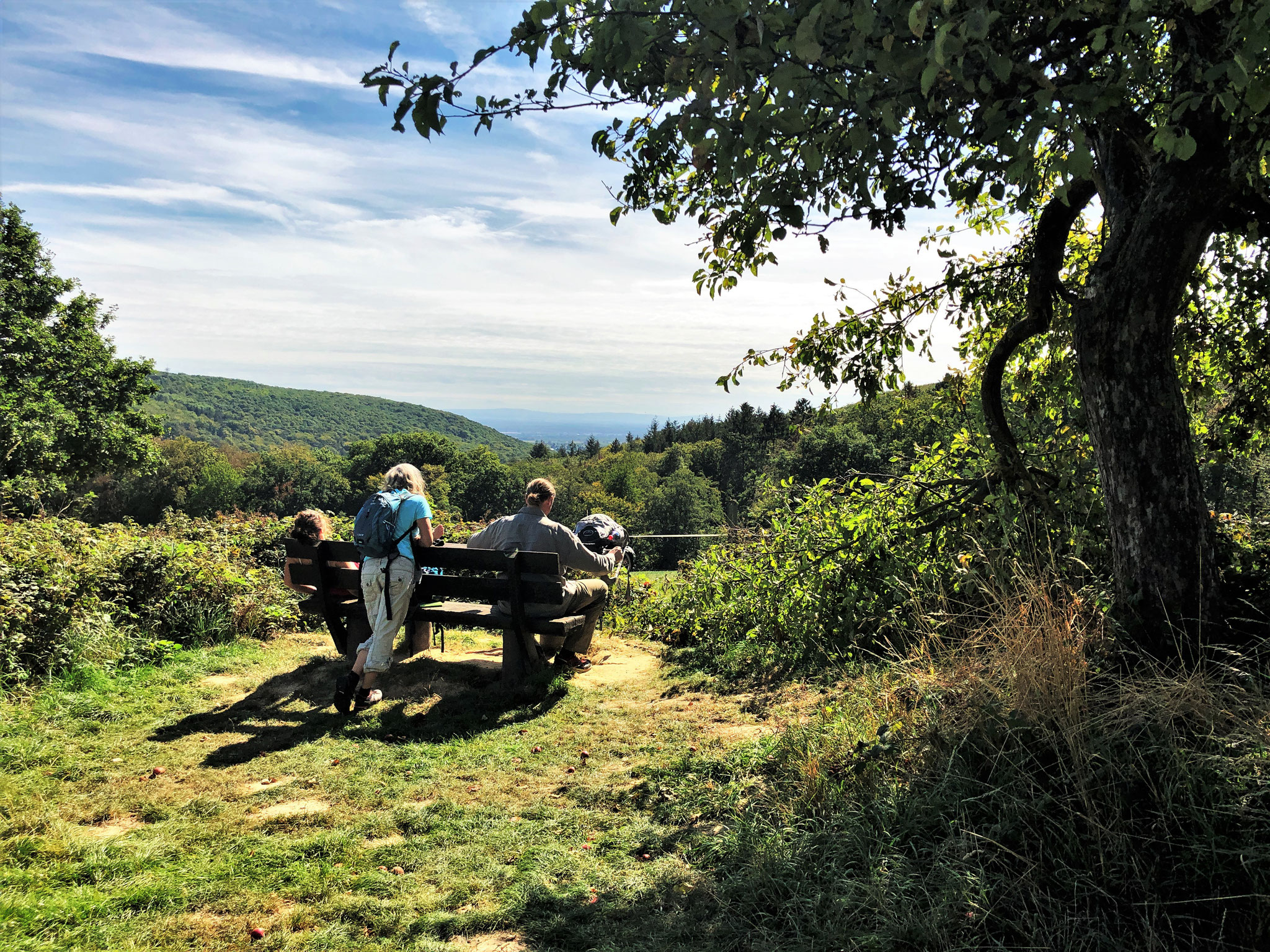 Blick in den Odenwald