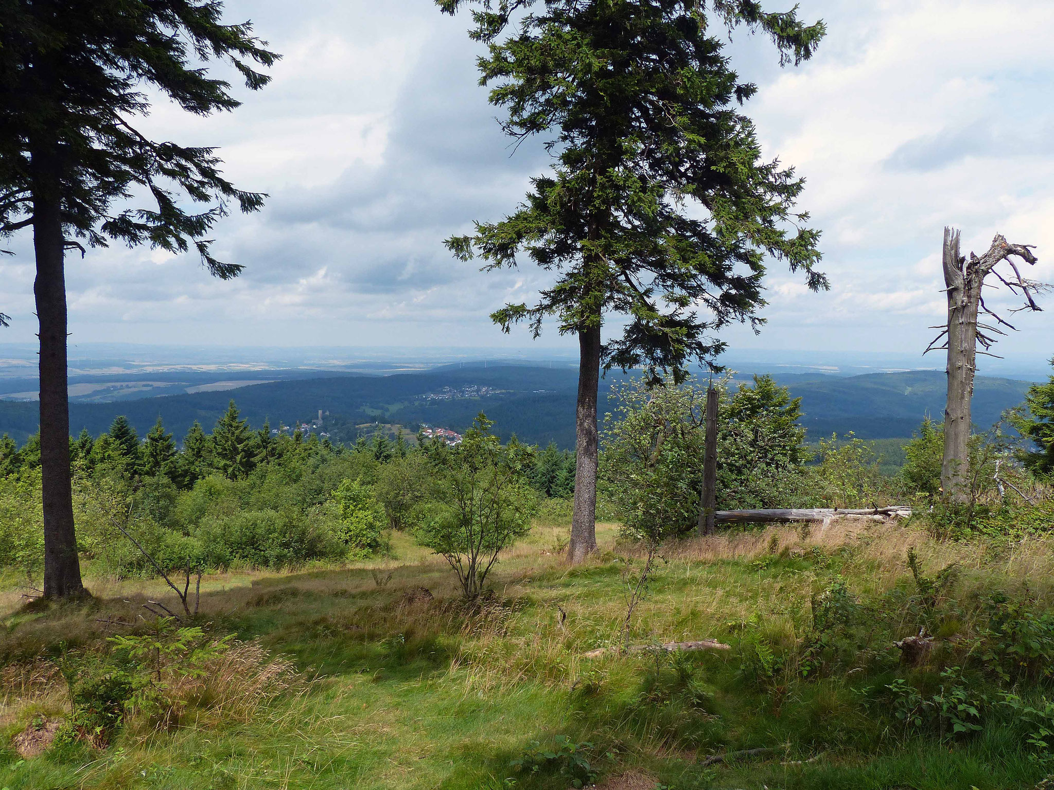 Blick vom Großen Feldberg 