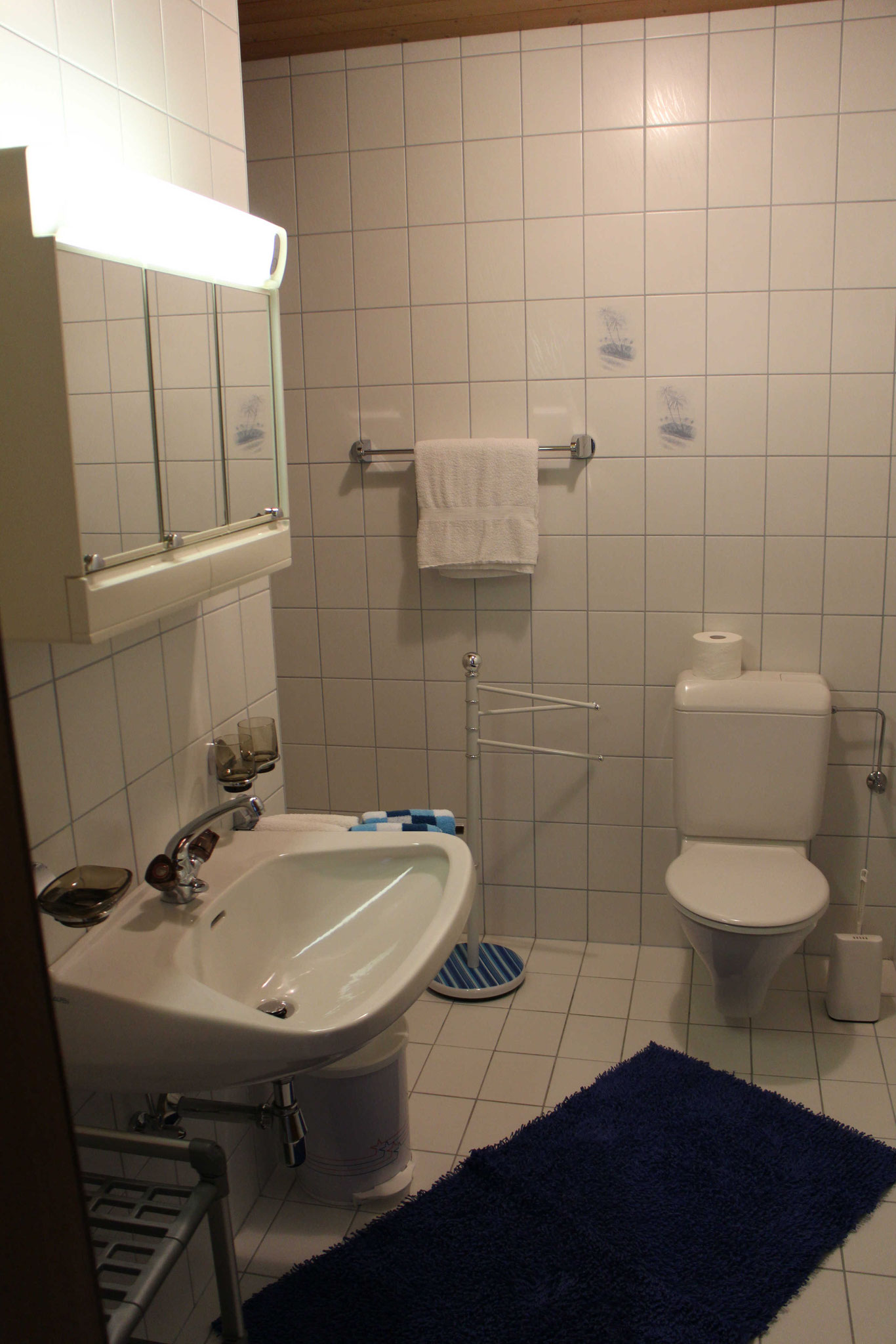 Dusche / WC Ferienwohnung Bergkastelblick